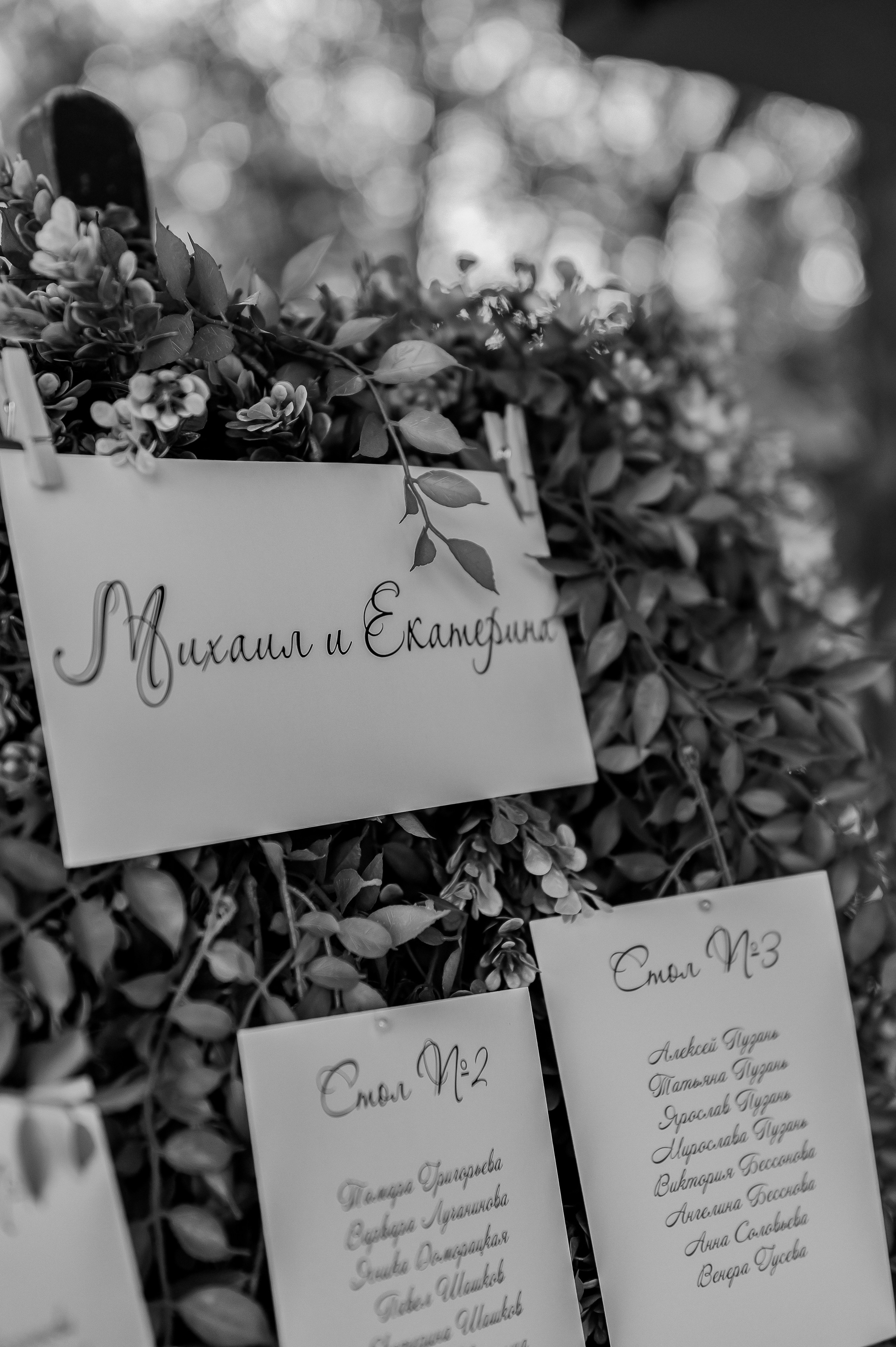 Екатерина и Михаил, 2023. Анна Пушина, фотограф, Москва, Королев, Пушкино