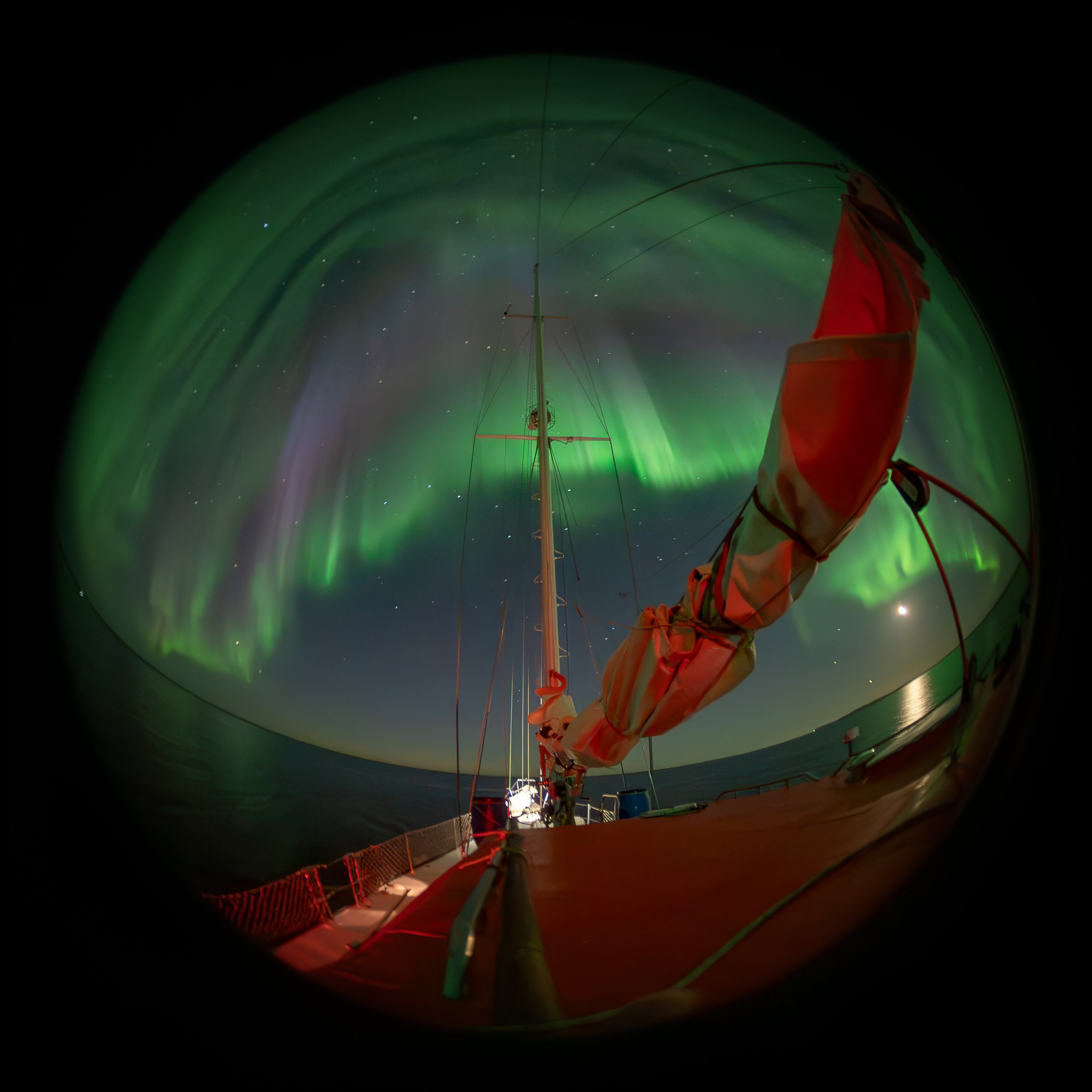 Арктика. Andrew Gusarov Nature Photography