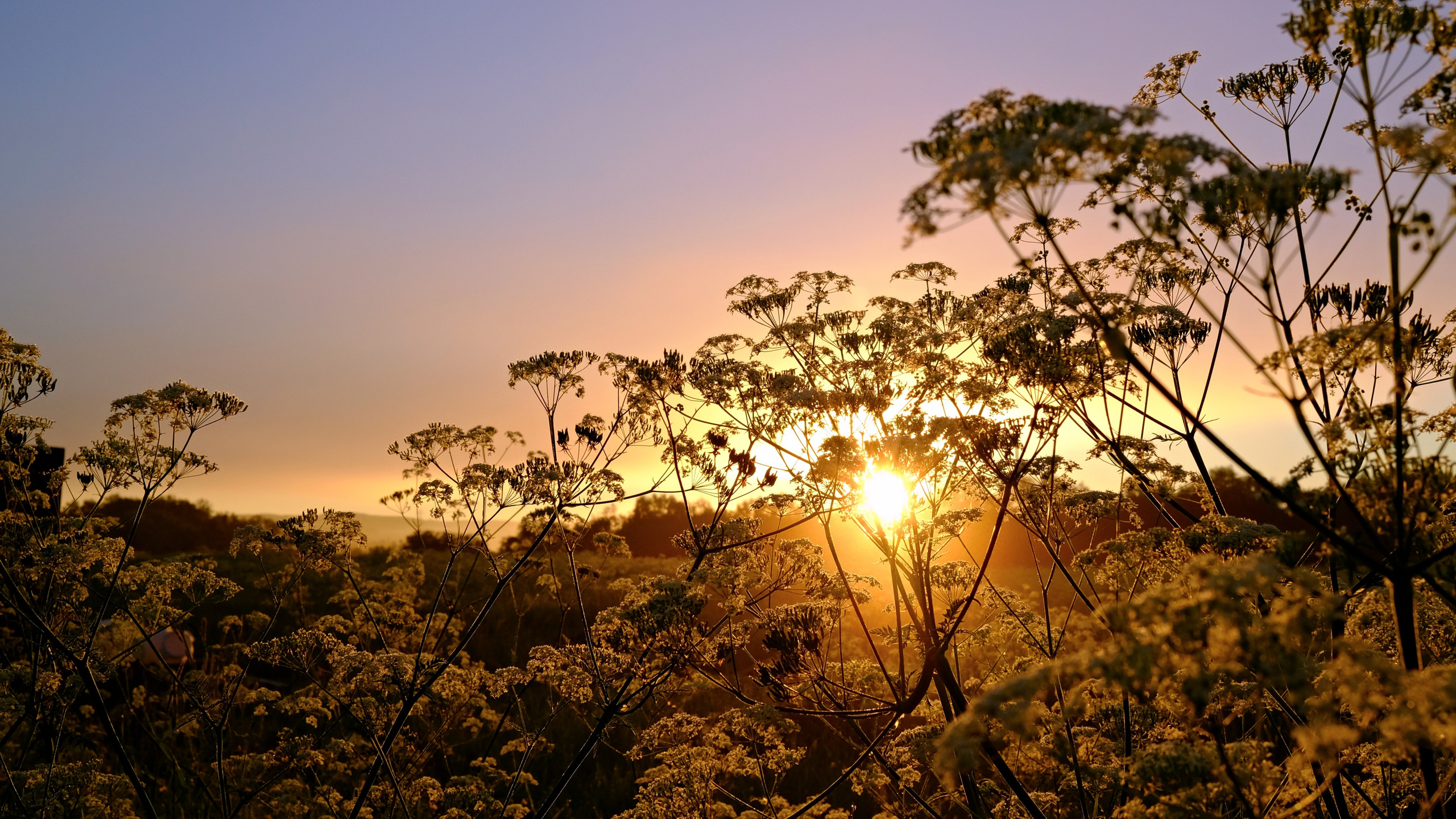 Солнечные ночи Крайнего Севера. Пейзажи Крайнего Севера. Баренцево море, Рыбачий, Средний, Немецкий