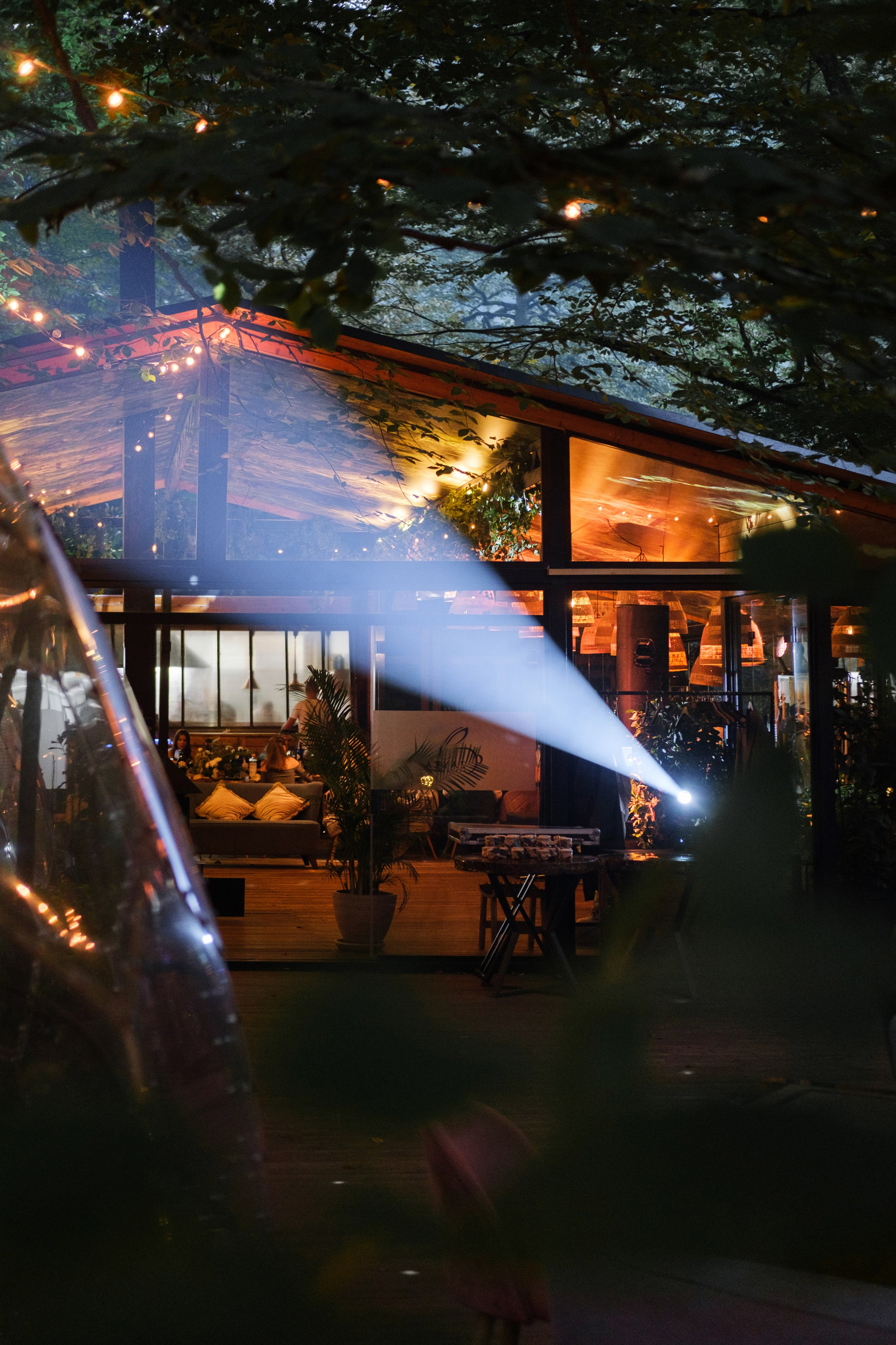 Кот и Дракон. Свадебный Видеограф Фотограф в Сочи