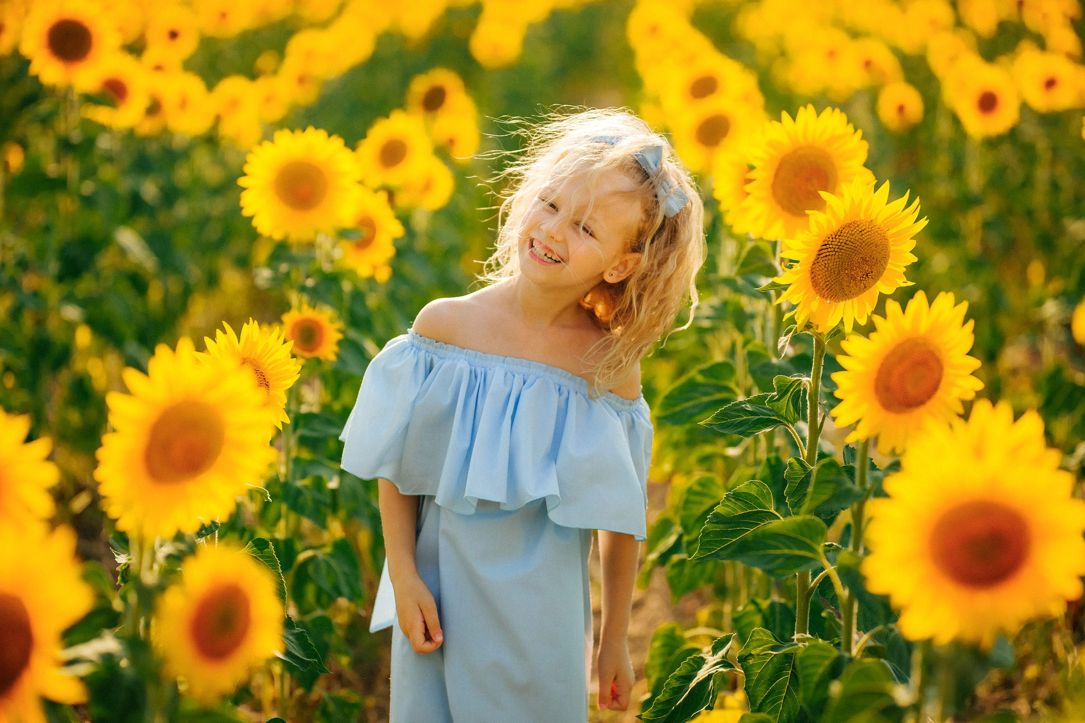 Подсолнухи!. Семейный, детский, свадебный, фотограф в городе Анапа