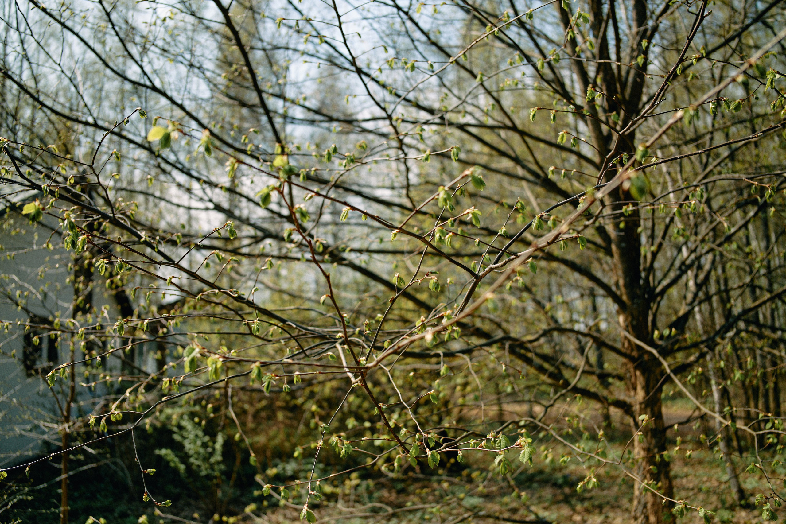 Бутик-отель Поле летом. Профессиональный Фотограф во Владимире, в Москве и в Суздале — Полина Романычева