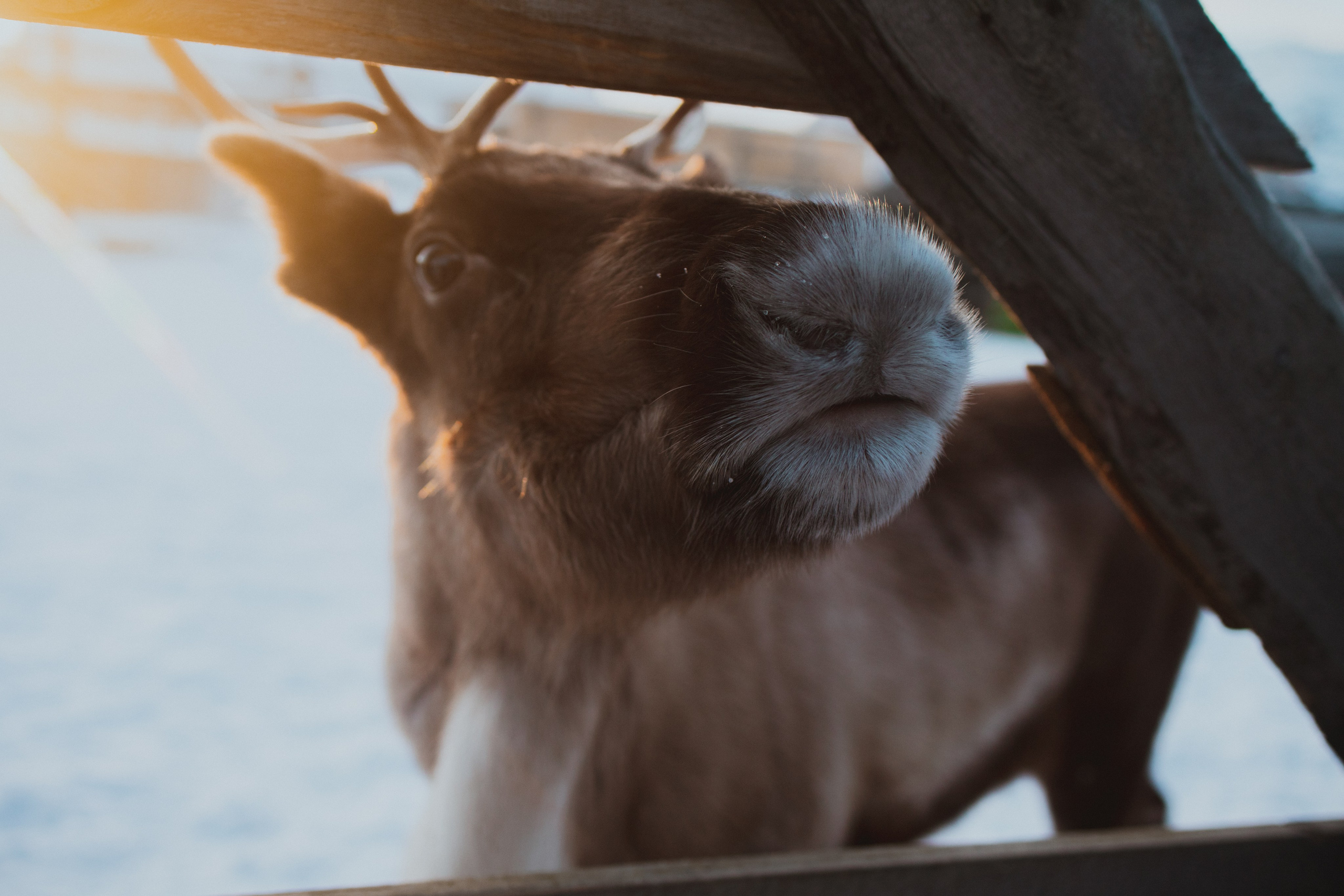 Териберка. Анна Мильч