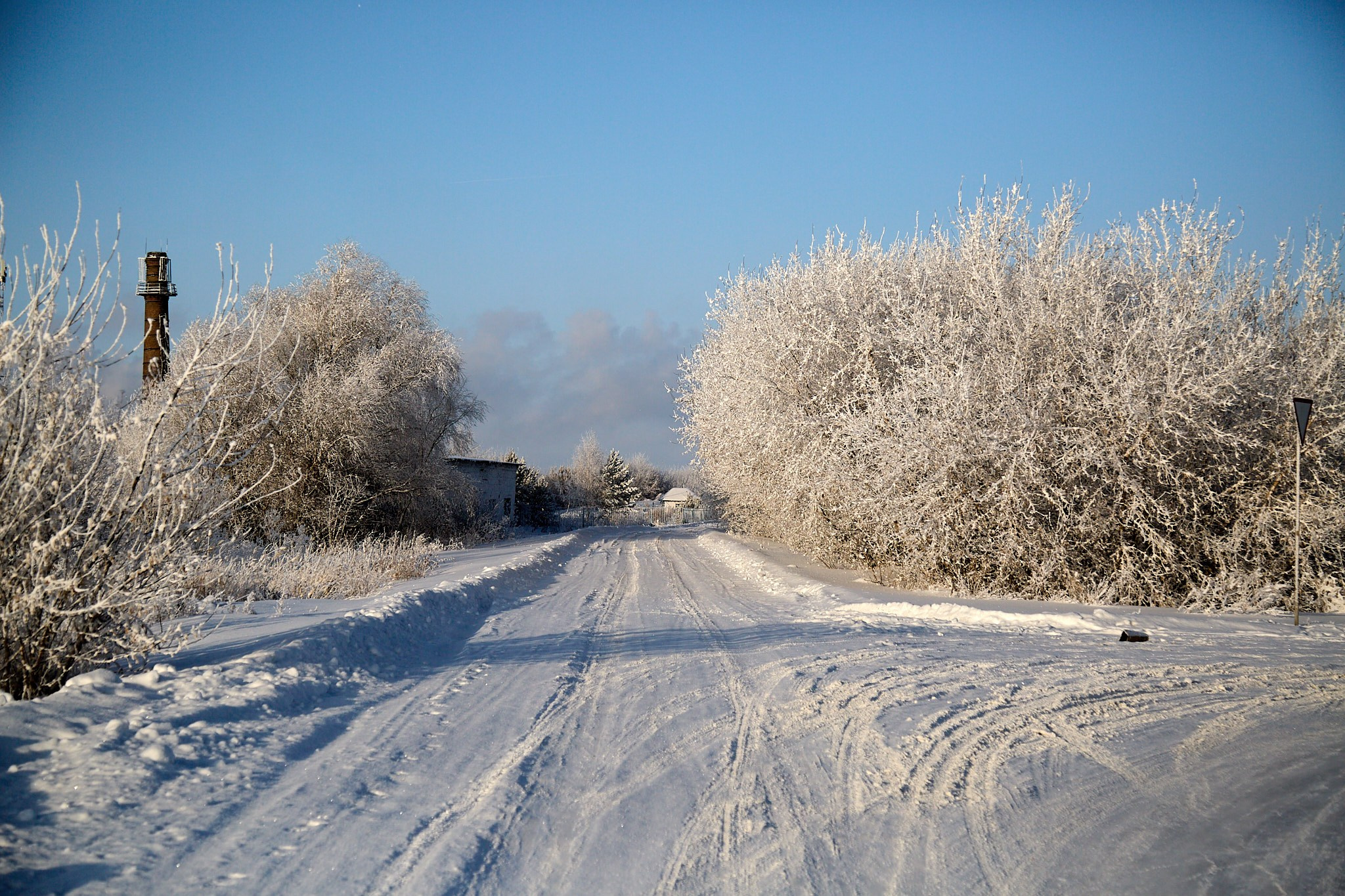 Предновогодняя сказка. Фотограф Омск | Александр Вандеров