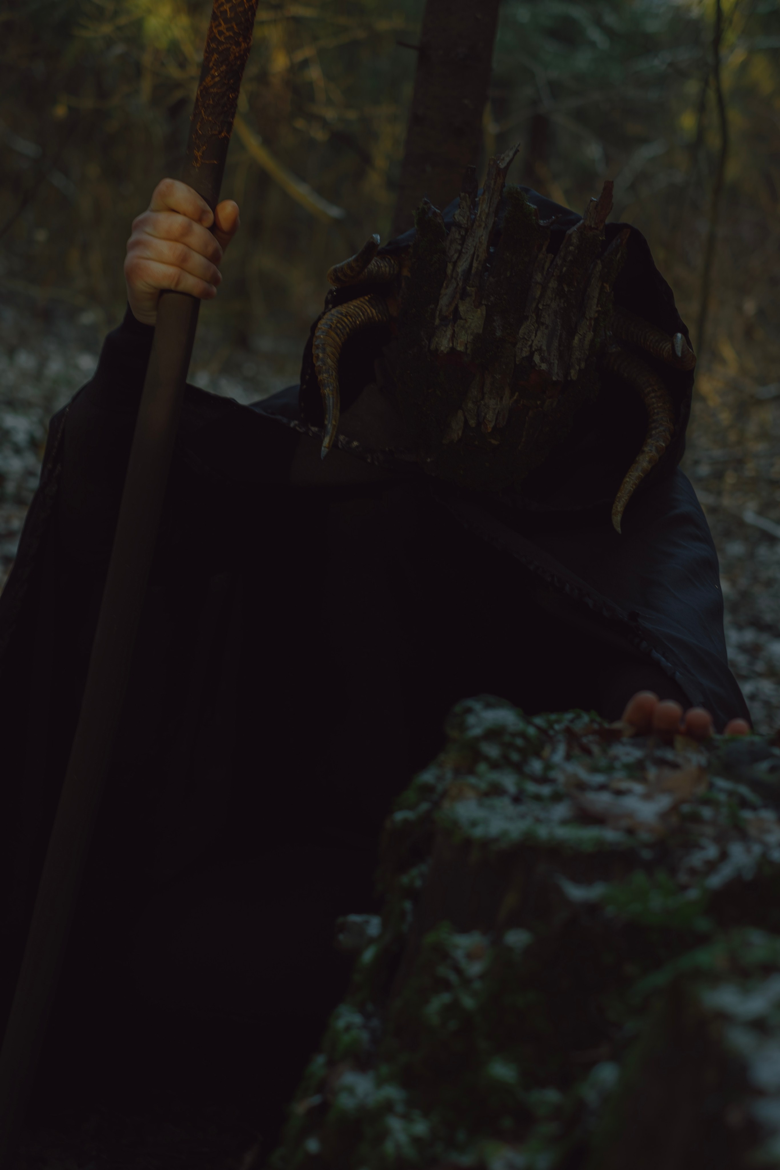 «Дух леса». Фотограф (Москва, Мытищи)— Комова Анастасия