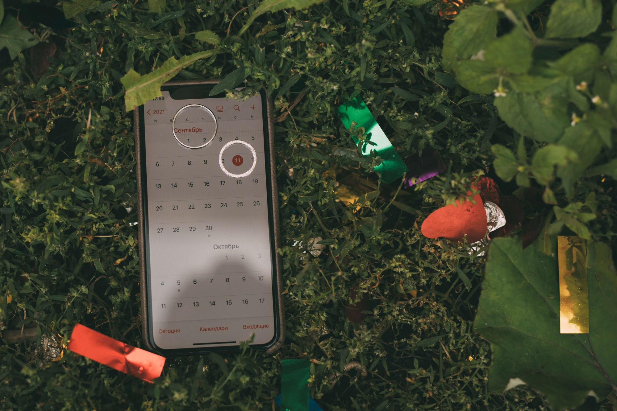 Ksenia & Danil. Фотограф Наташа Румянцева