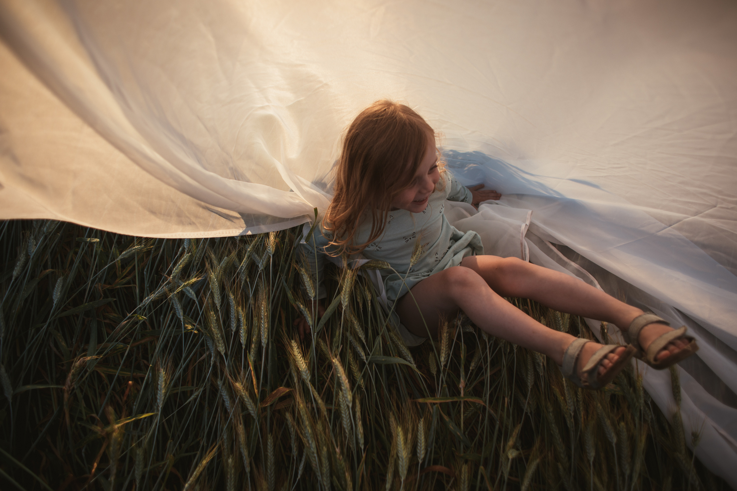 Молодая пшеница. Фотограф Наташа Румянцева