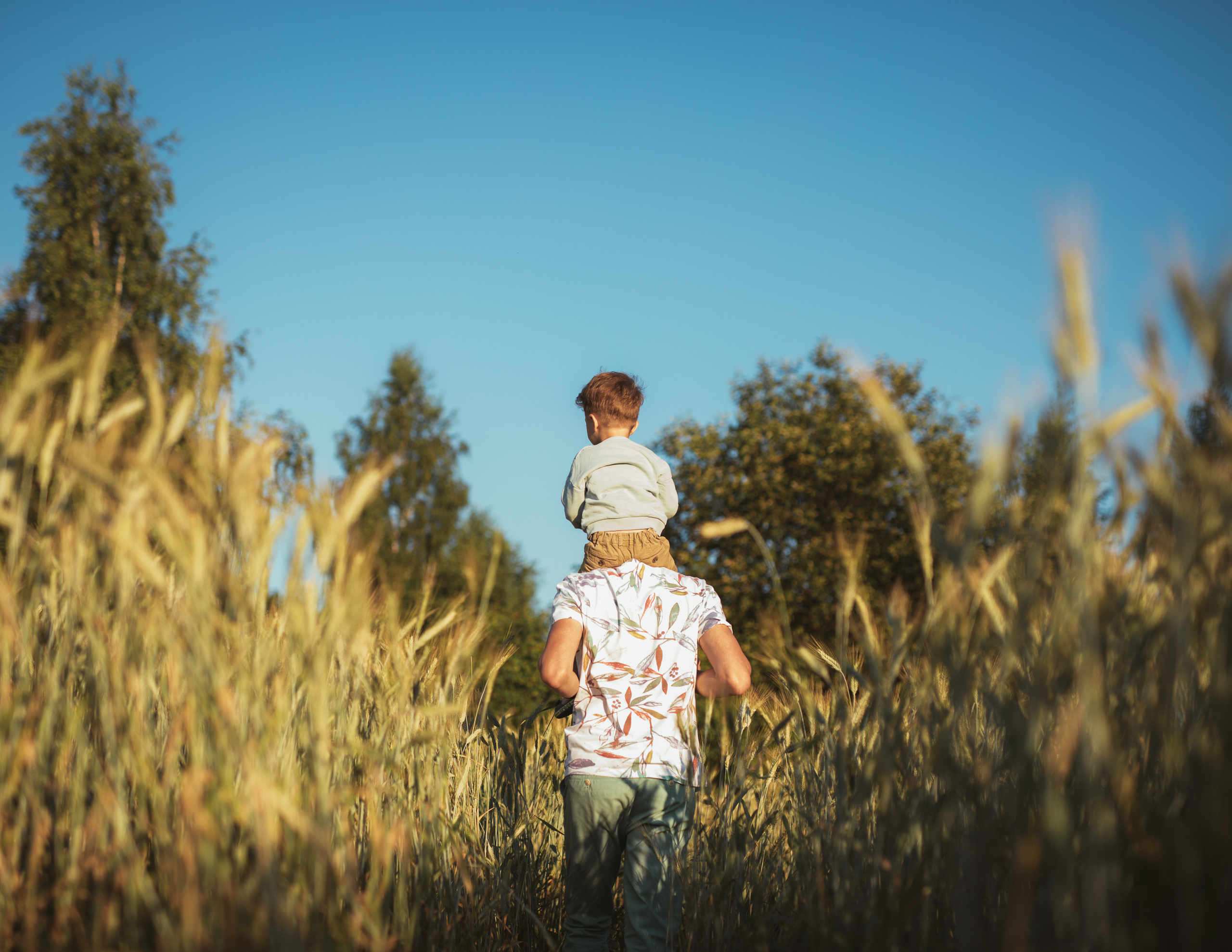 Молодая пшеница. Фотограф Наташа Румянцева