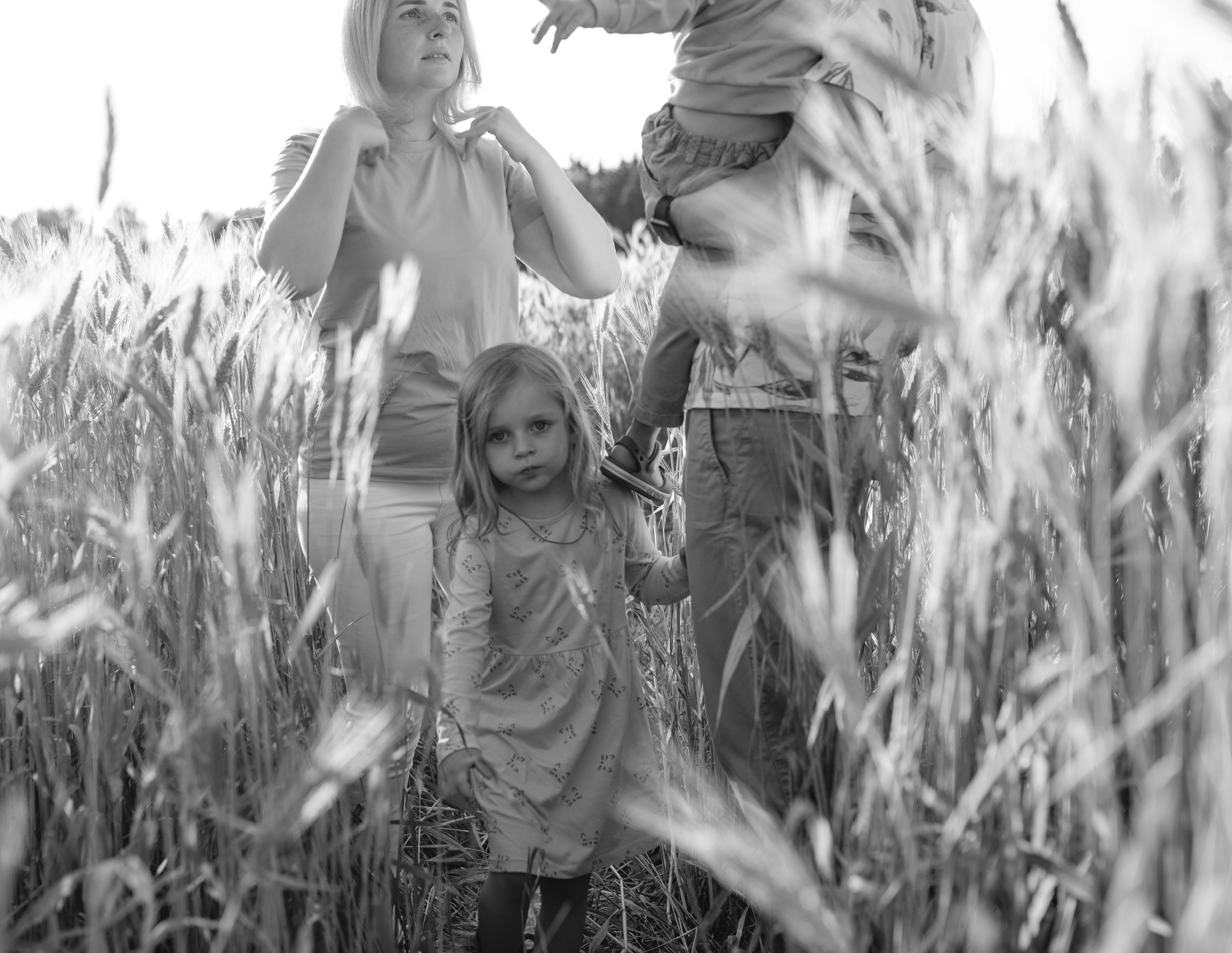 Молодая пшеница. Фотограф Наташа Румянцева