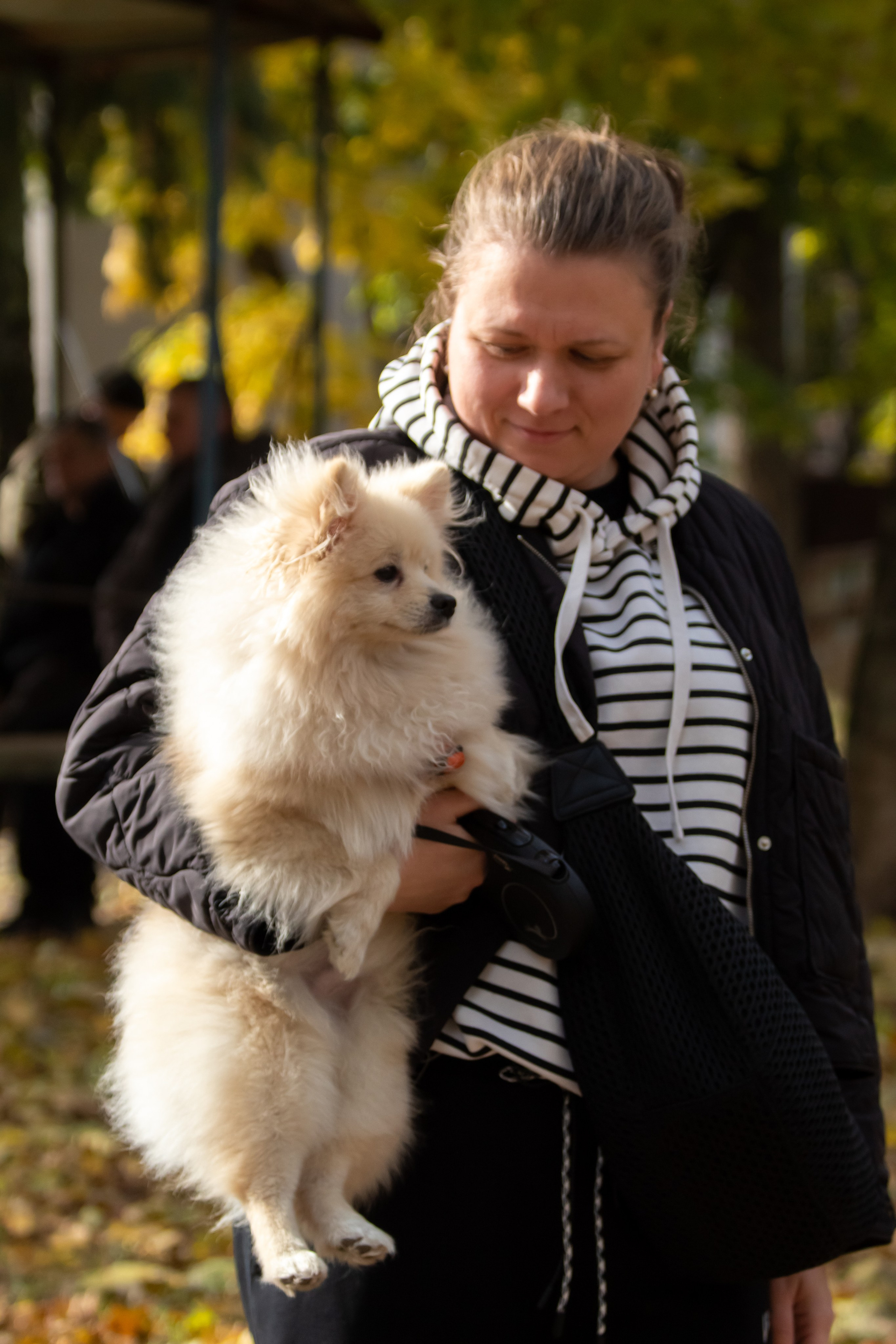 Костюмированный парад собак. Фотограф анималист — Тула, Москва