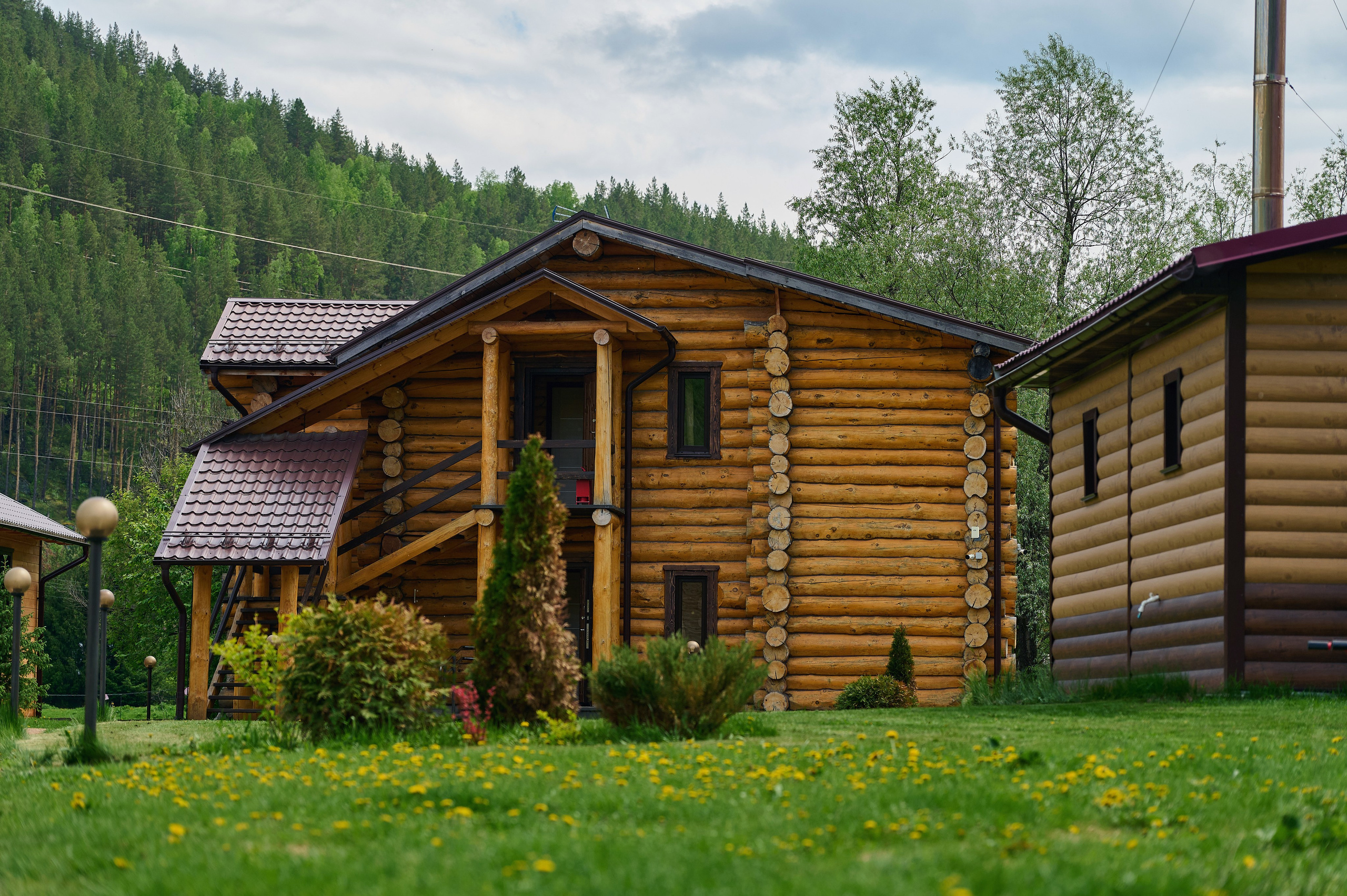 Кедровый берег. Фотограф Опыт Качество Скорость Горный Алтай Барнаул