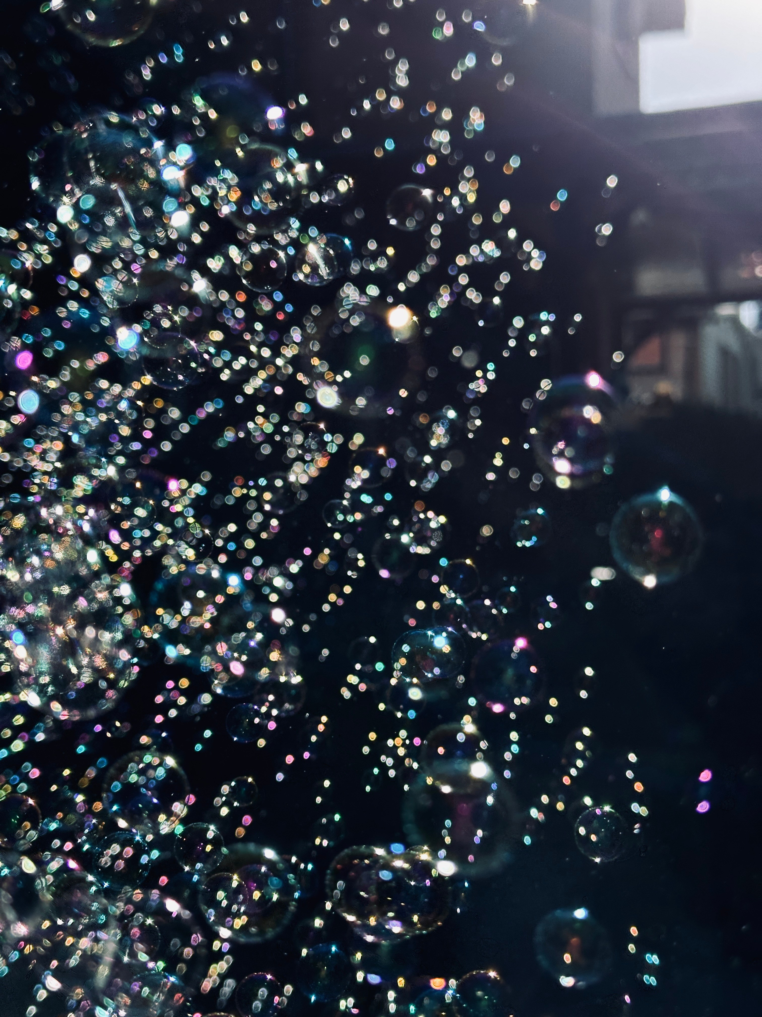 Флора и фауна. Смотри, красота!