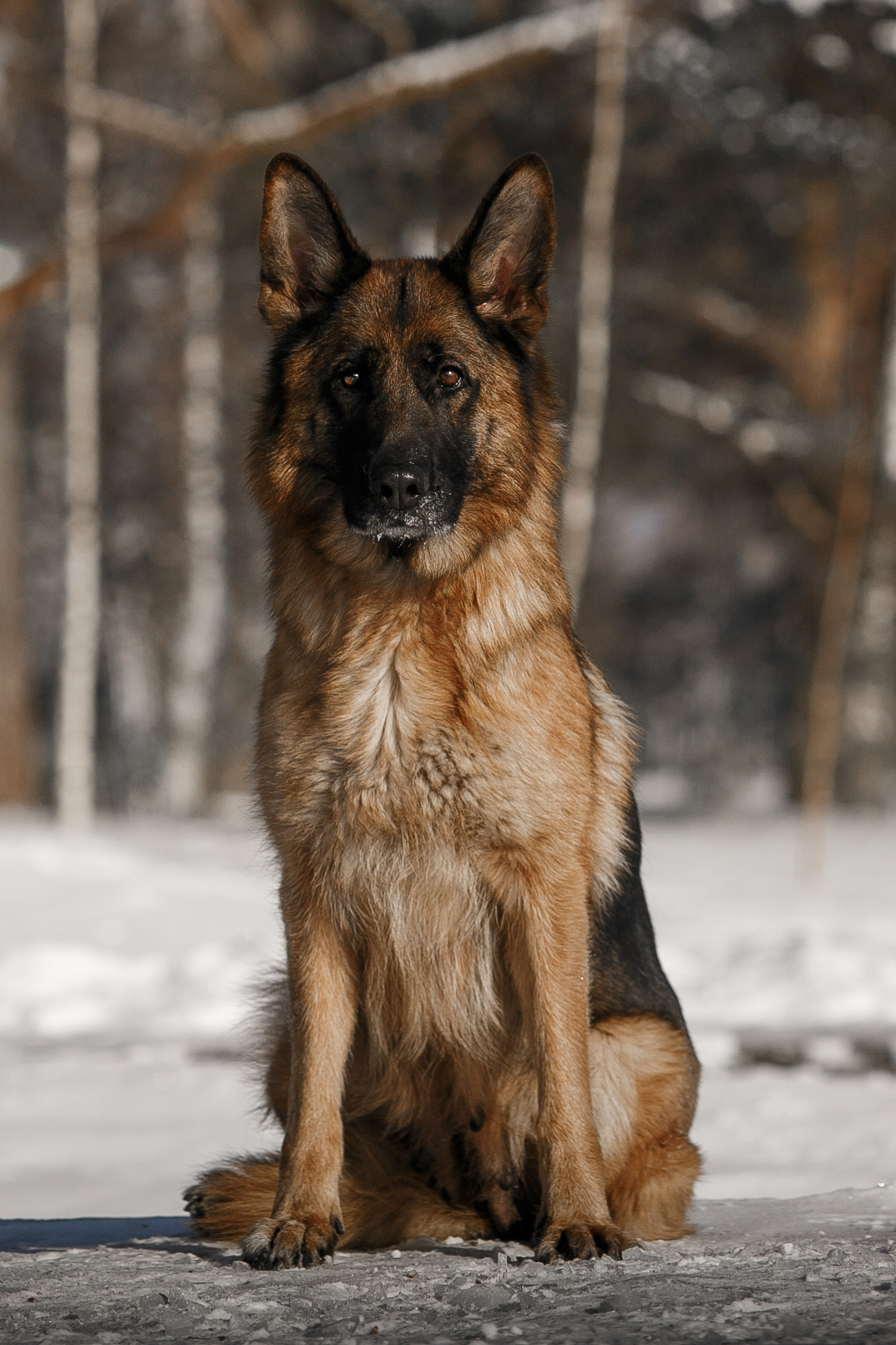 Репортажный фотограф Борис Геер