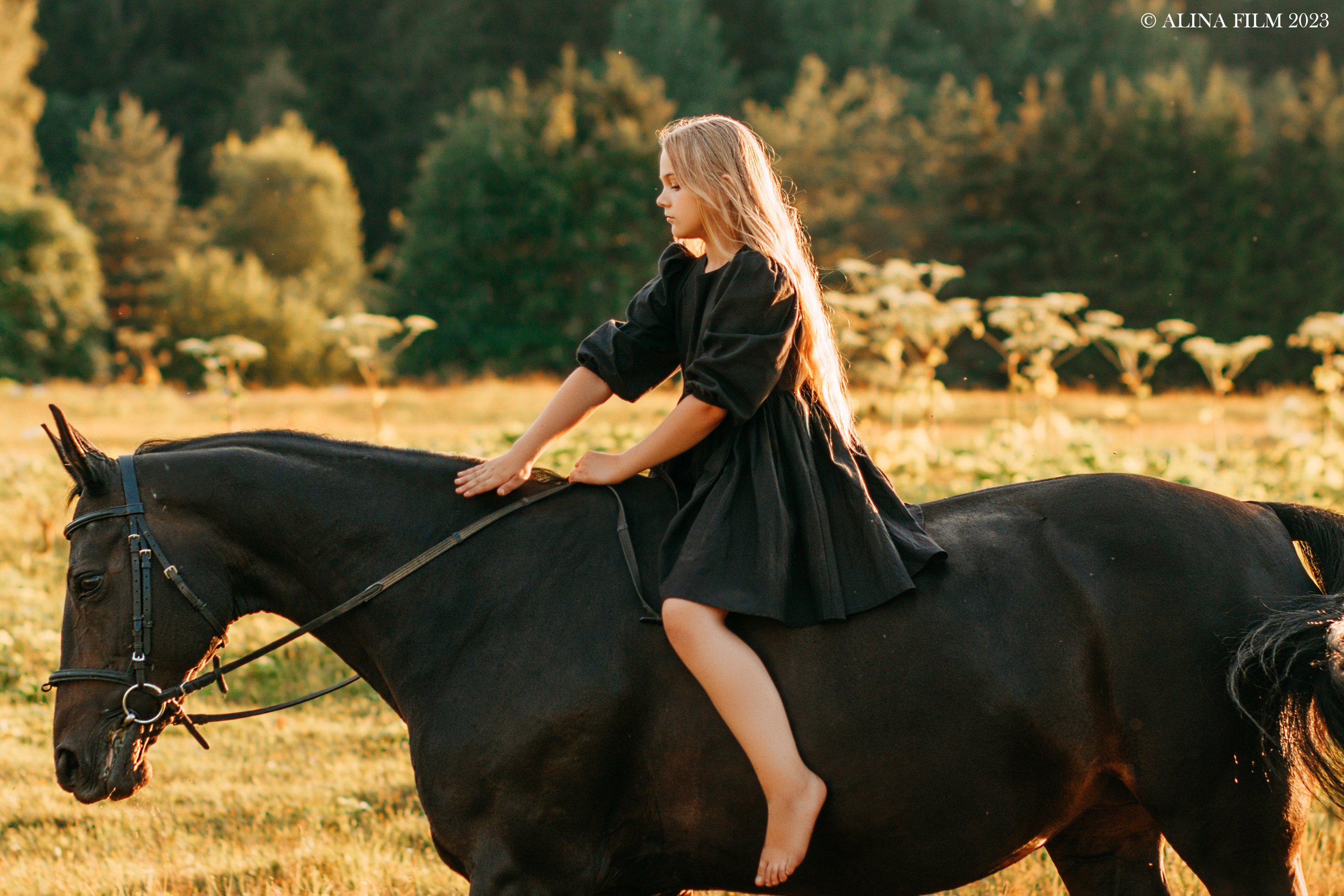 Фотосессия с лошадью. Фотограф в Санкт-Петербурге Alina Film