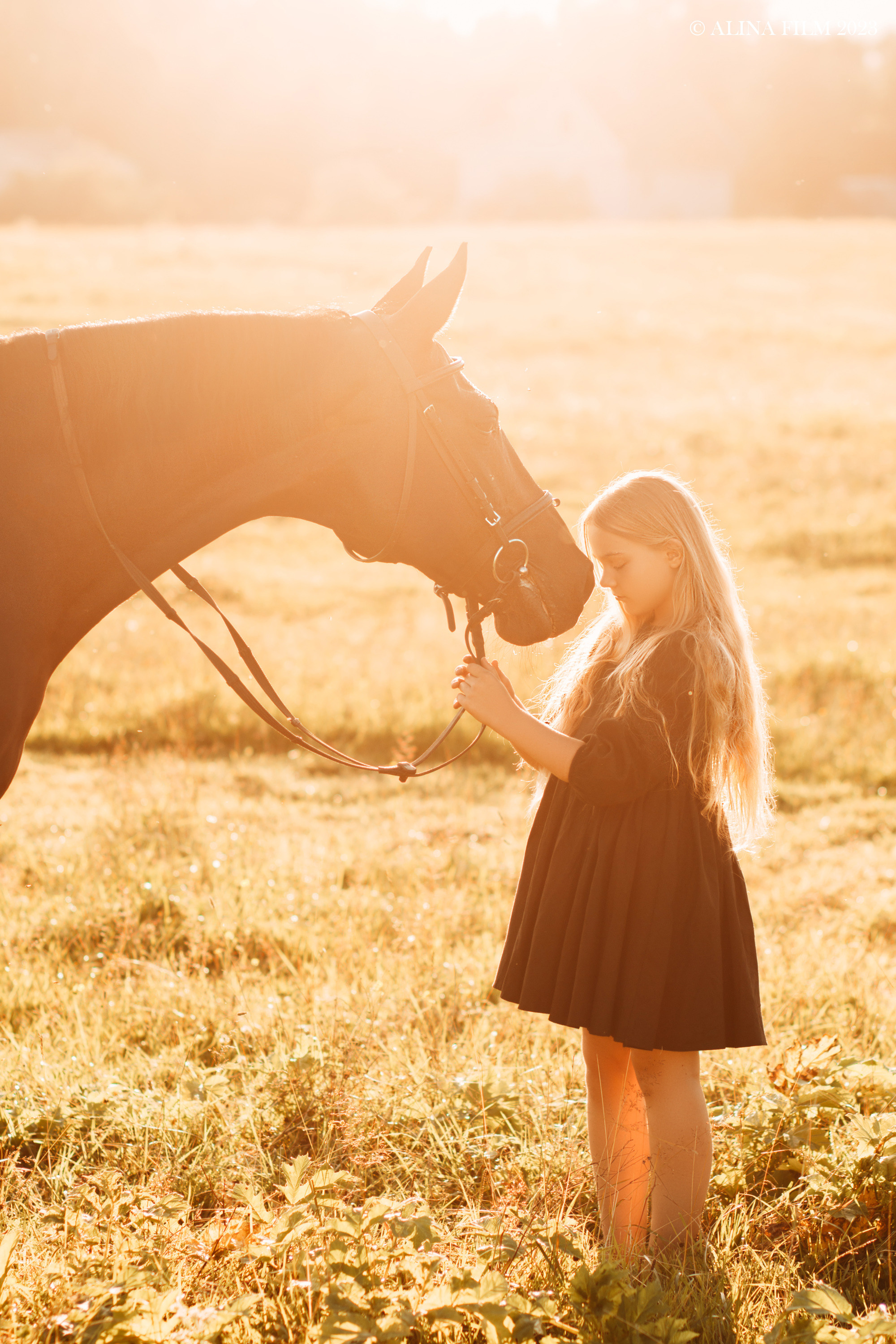 Фотосессия с лошадью. Фотограф в Санкт-Петербурге Alina Film