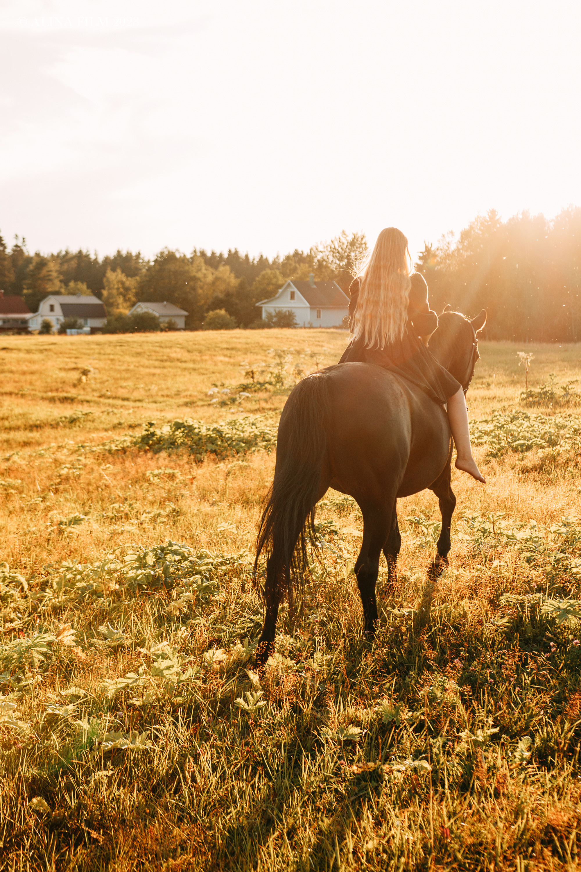 Фотосессия с лошадью. Фотограф в Санкт-Петербурге Alina Film