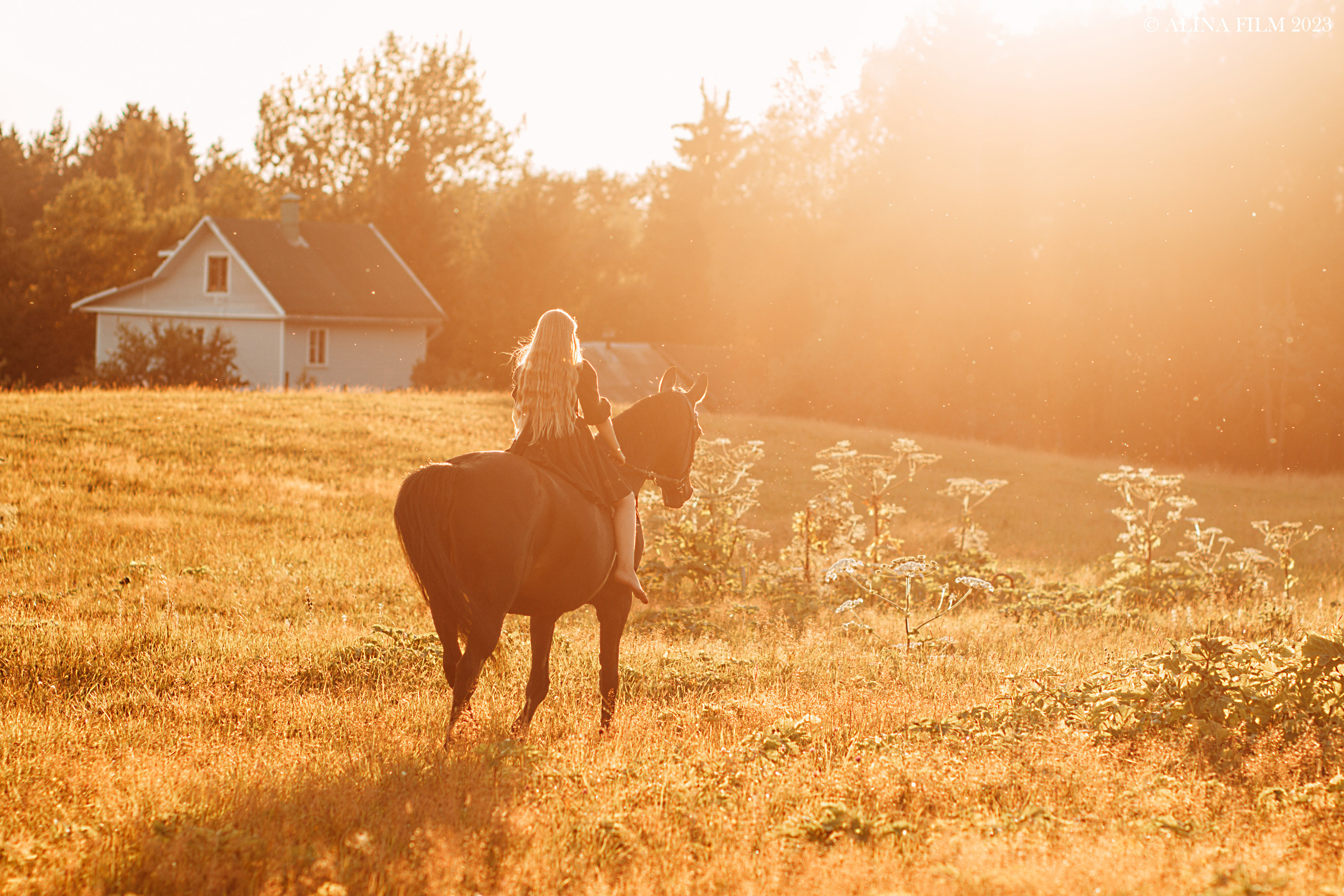 Фотосессия с лошадью. Фотограф в Санкт-Петербурге Alina Film