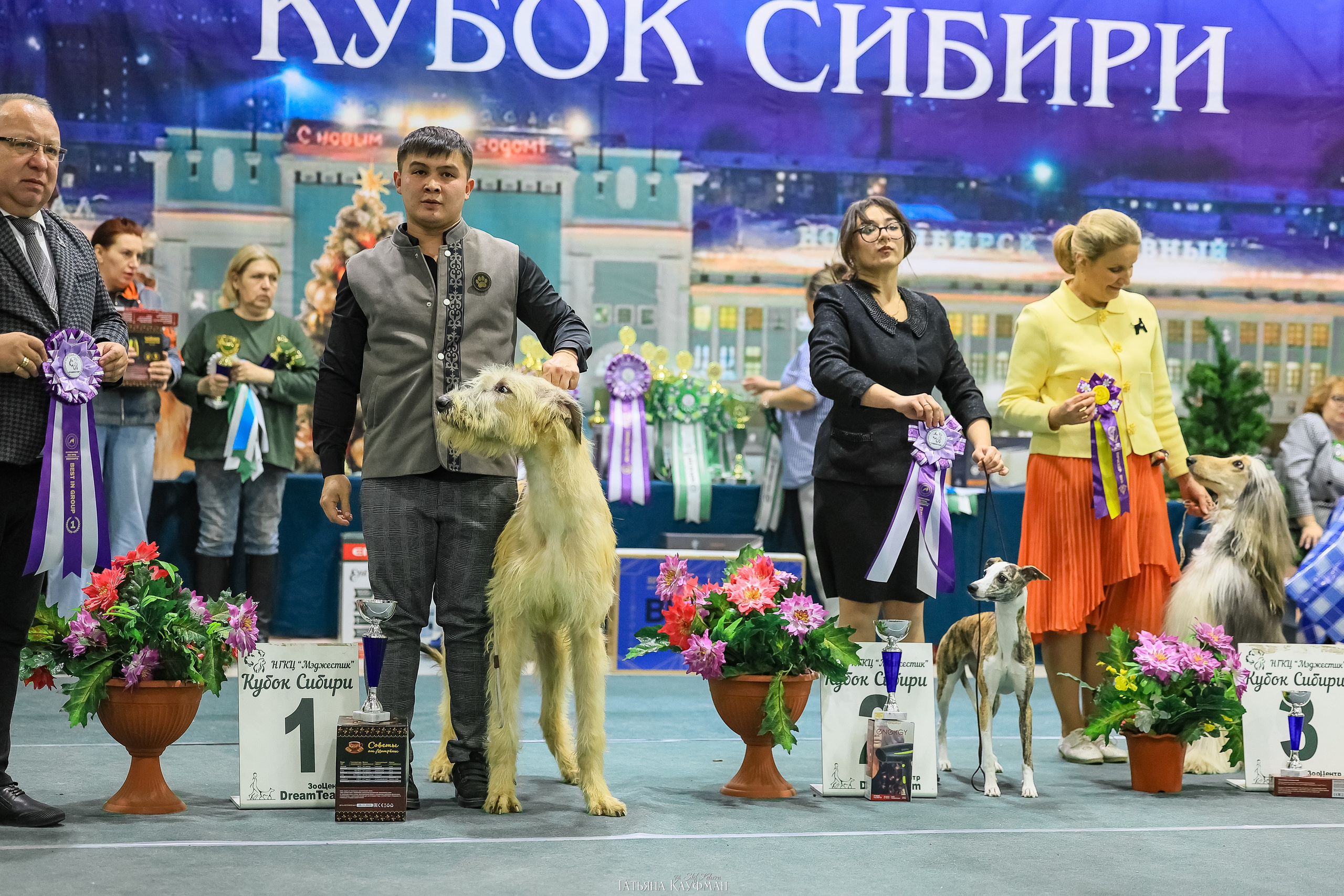 6-7.12.25 — 1-4 Национальные выставки собак в Новосибирске (2х рейтинговые). Фотограф Анималист из Новосибирска Татьяна Кауфман