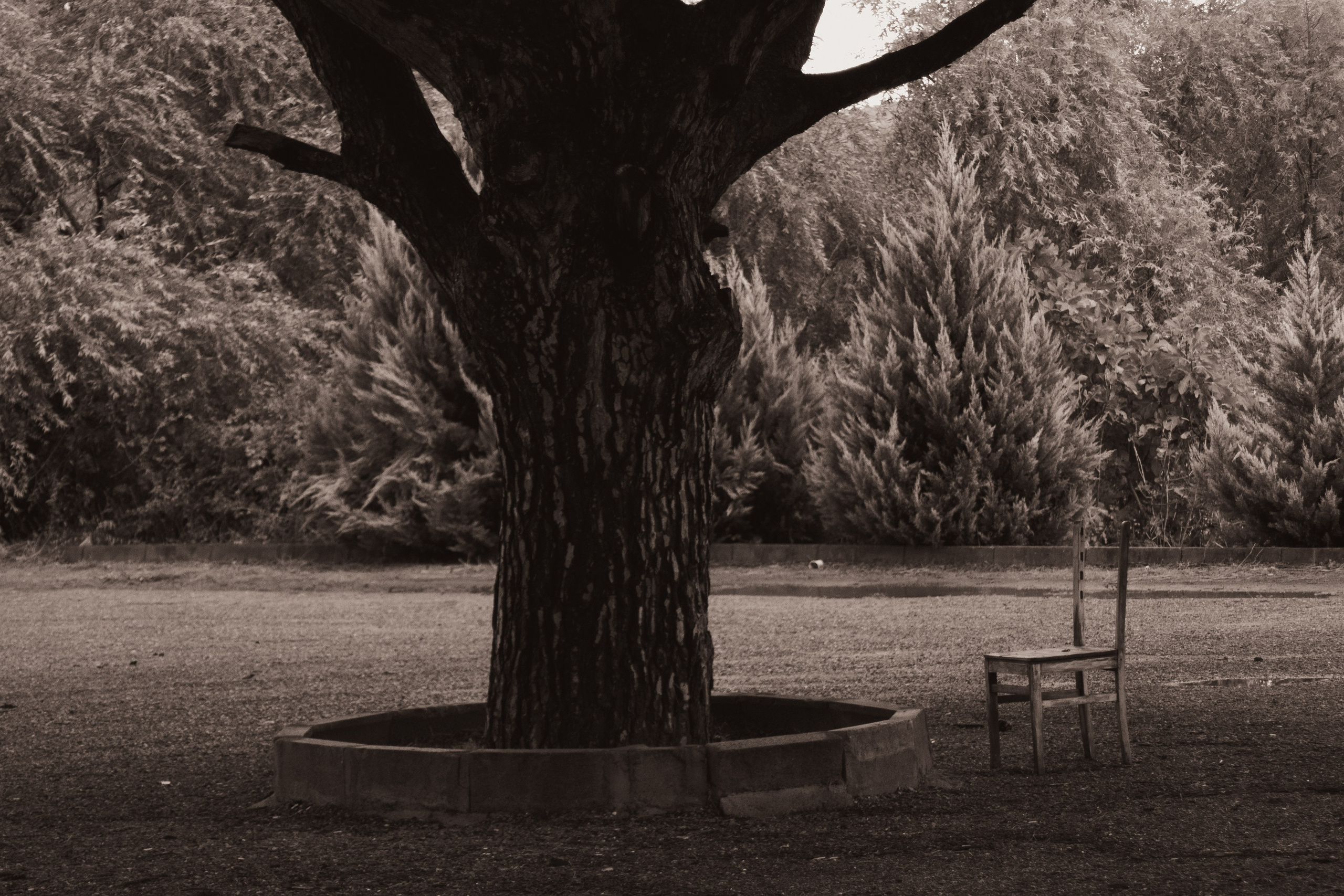 Работы. Фотограф Москва, портрет, стрит, репортаж. Художественная фотосессия