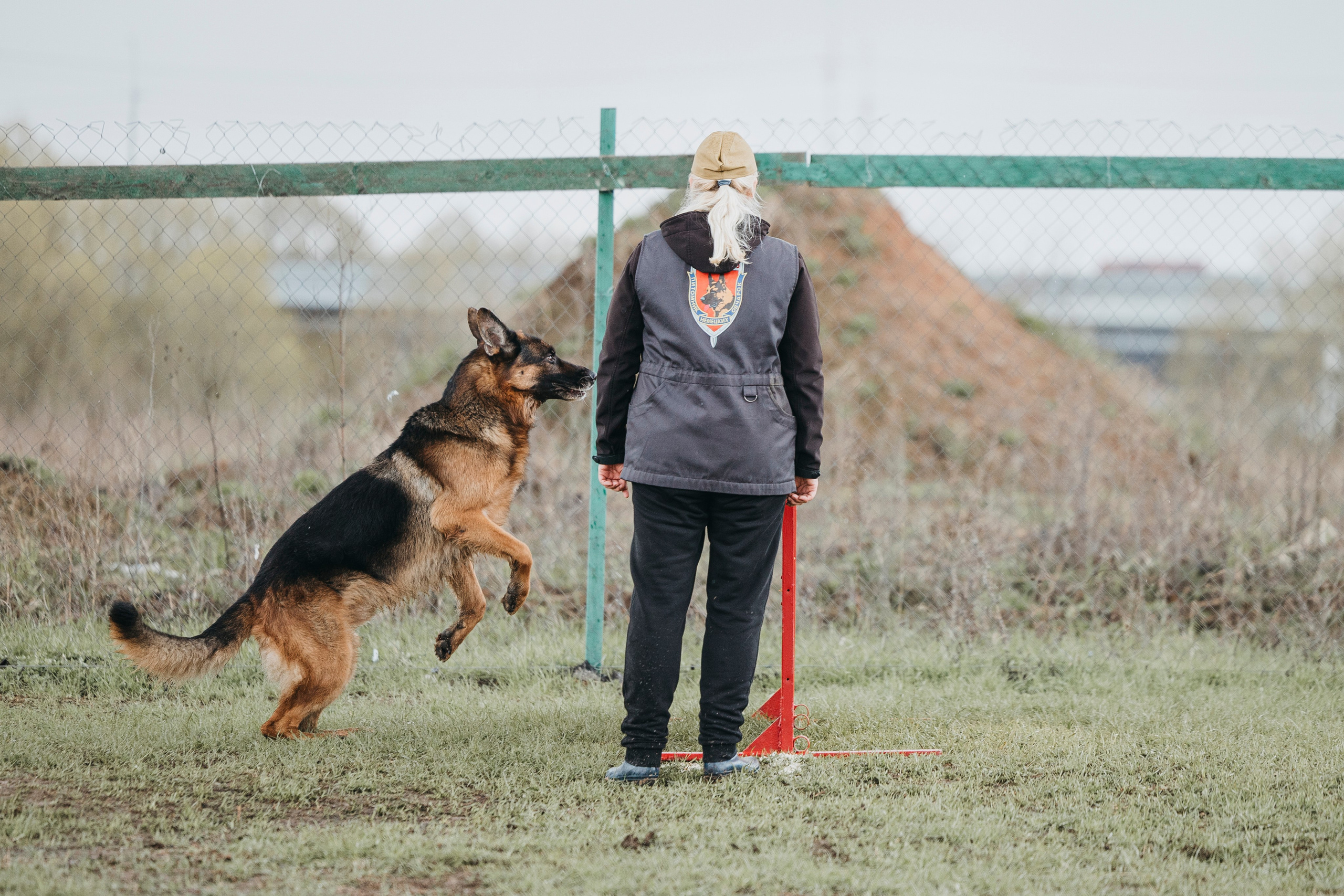 09.05.25 Вологда соревнования. Фотограф-анималист Анна Маринич
