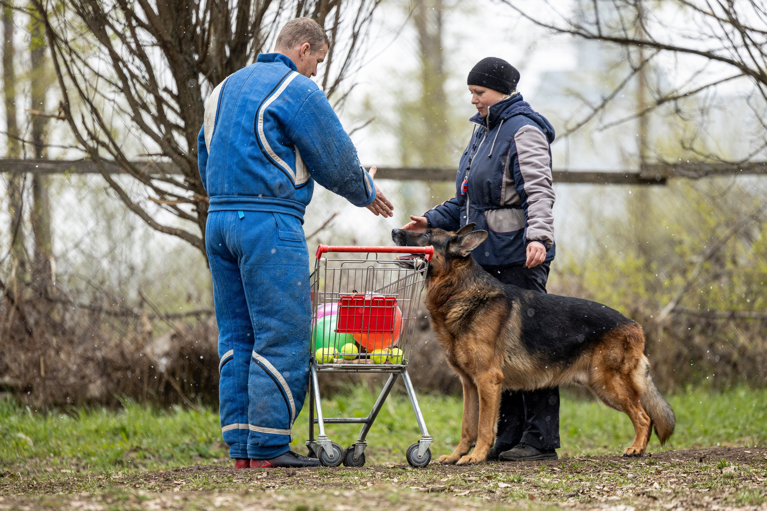 Квалификационные состязания по мондьорингу г. Вологда 11.05.24. Фотограф-анималист Анна Маринич