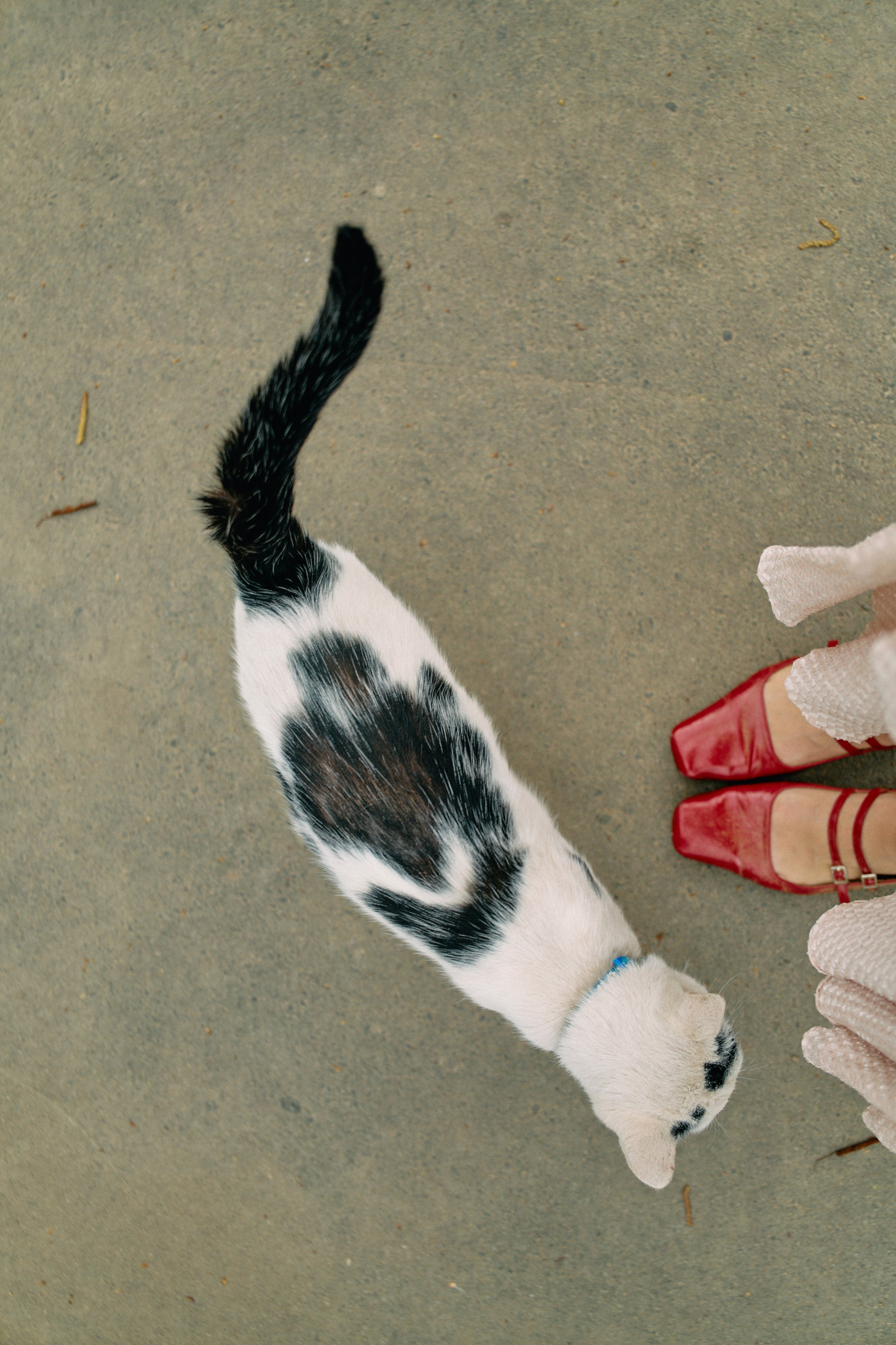 Бутик-отель Поле летом. Профессиональный Фотограф во Владимире, в Москве и в Суздале — Полина Романычева