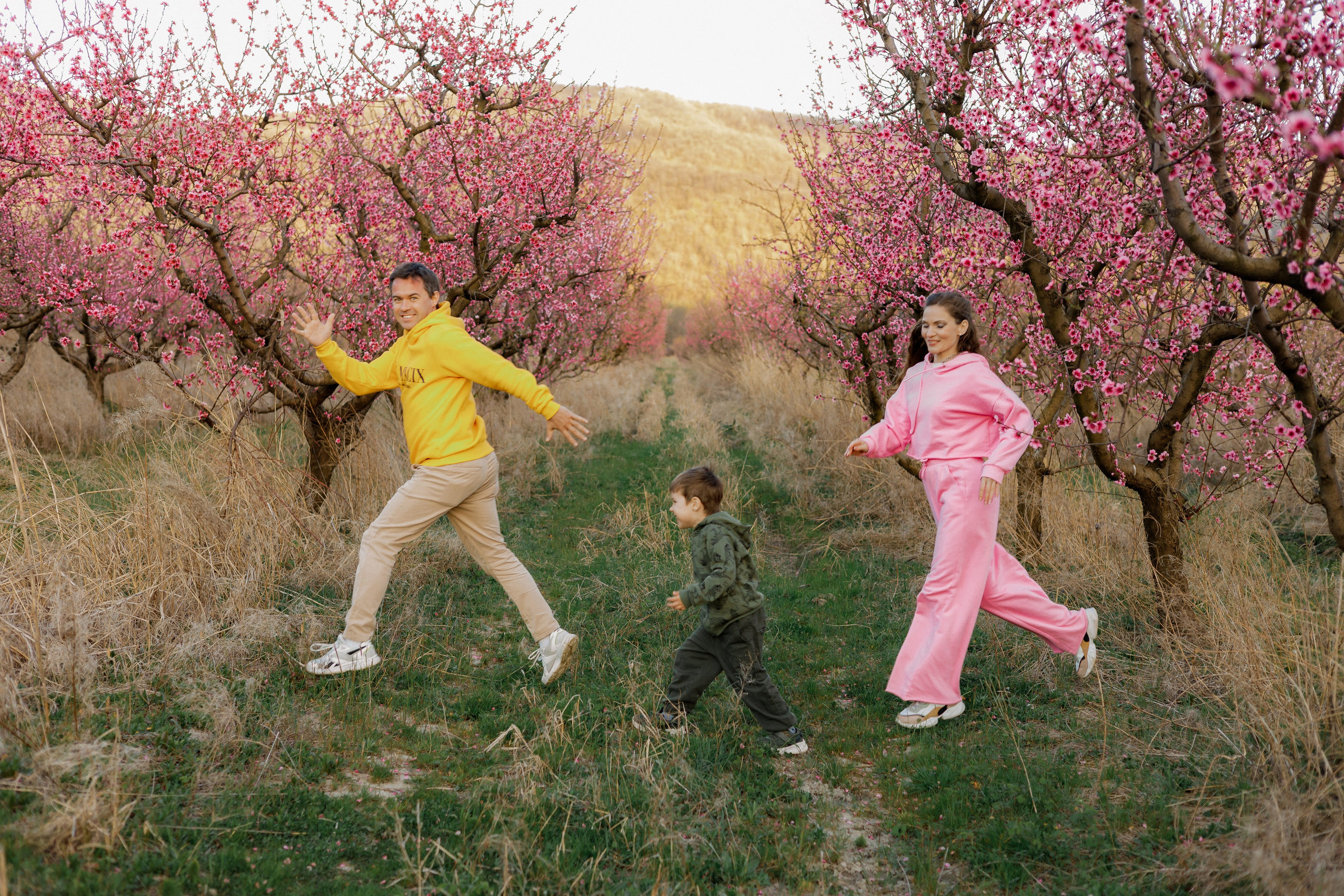 Закат в персиковом саду