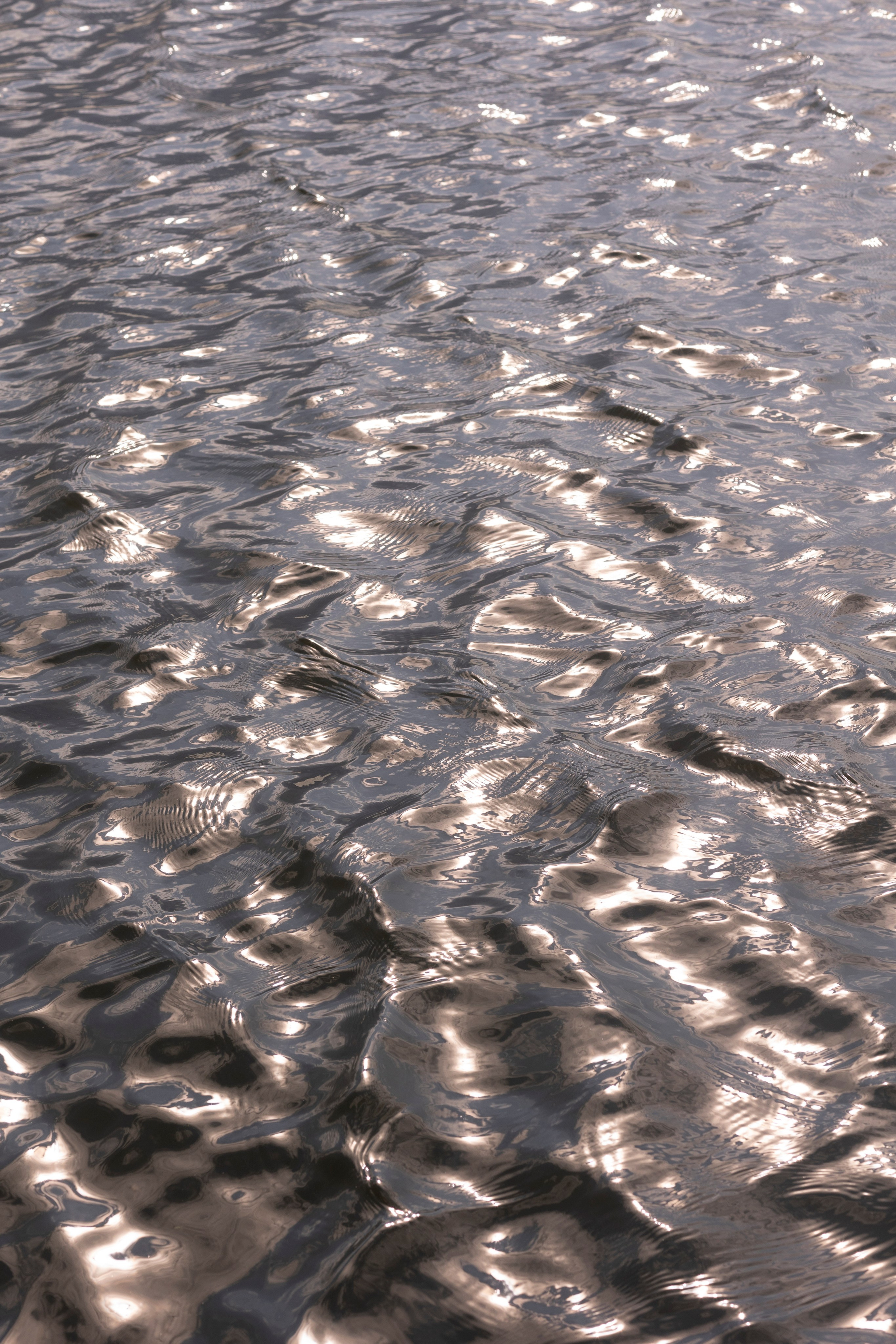 Михаил & Кристина. Свадебный фотограф Наталья Молявина