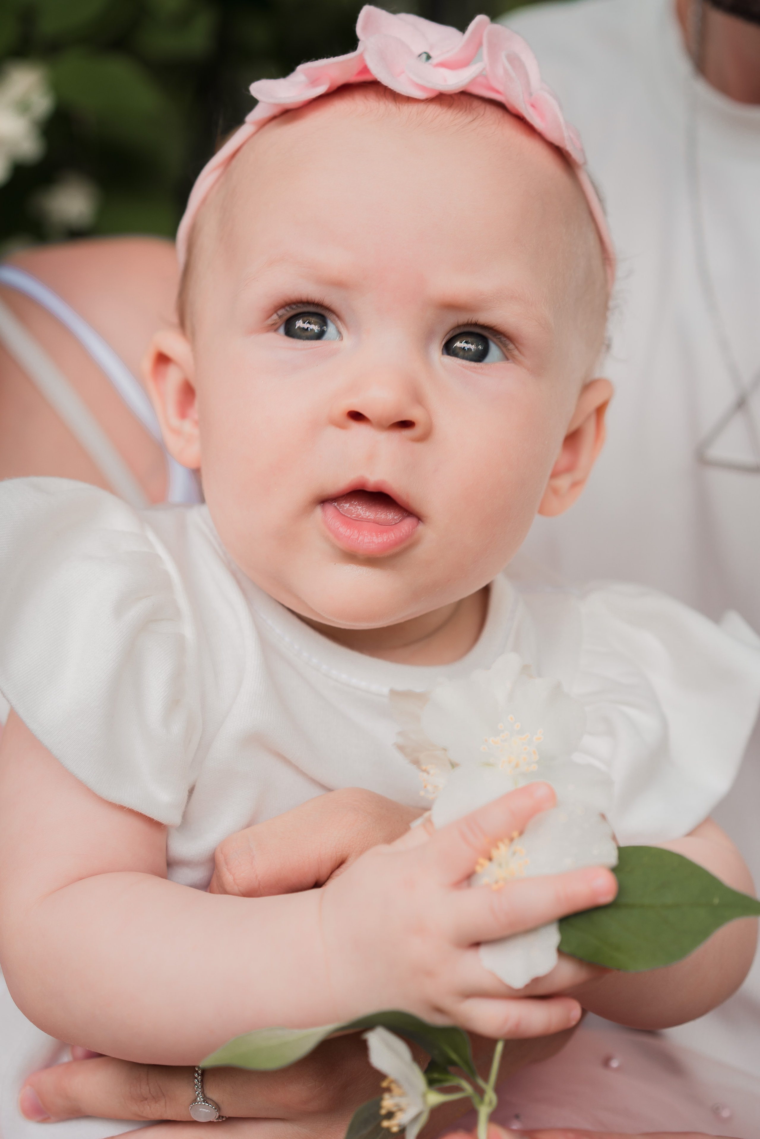 Прогулки в парке. Свадебный фотограф Вера Климова