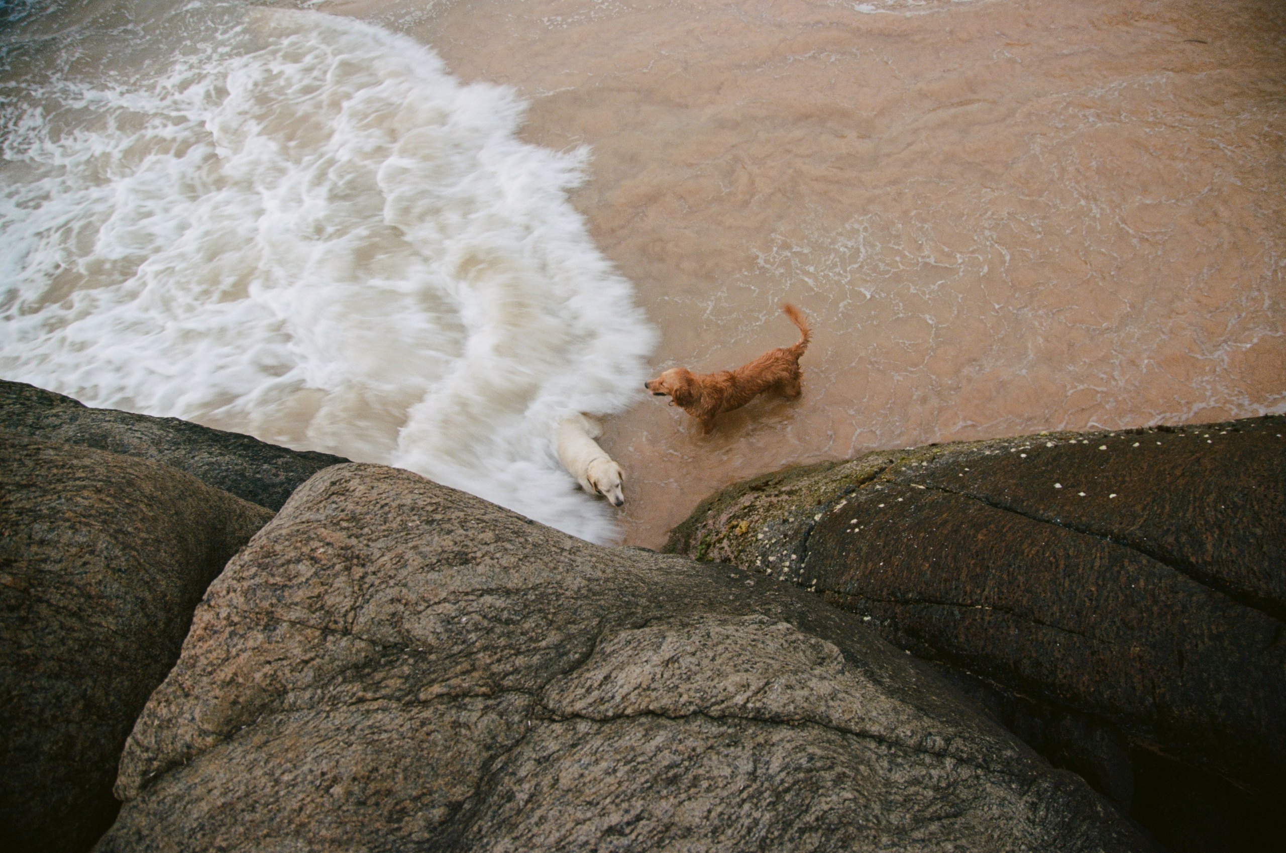 Пленка. Фотограф Ulumberg Arslan