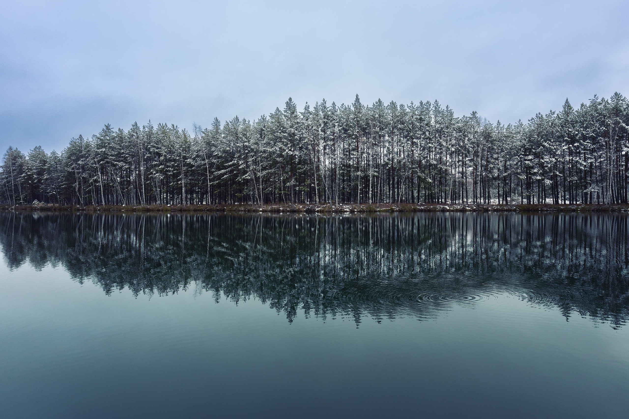 Хмурый день на оз. Штаны. Николай Брытков — фотограф в Туле