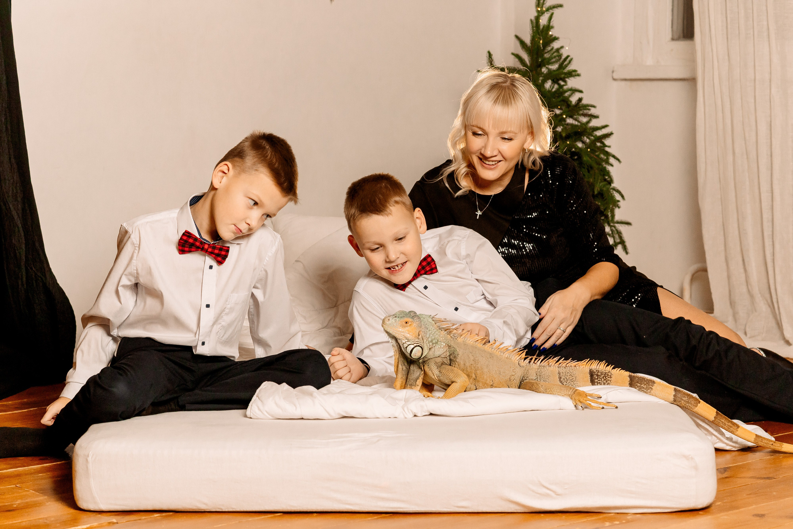 Семейная новогодняя фотосессия
