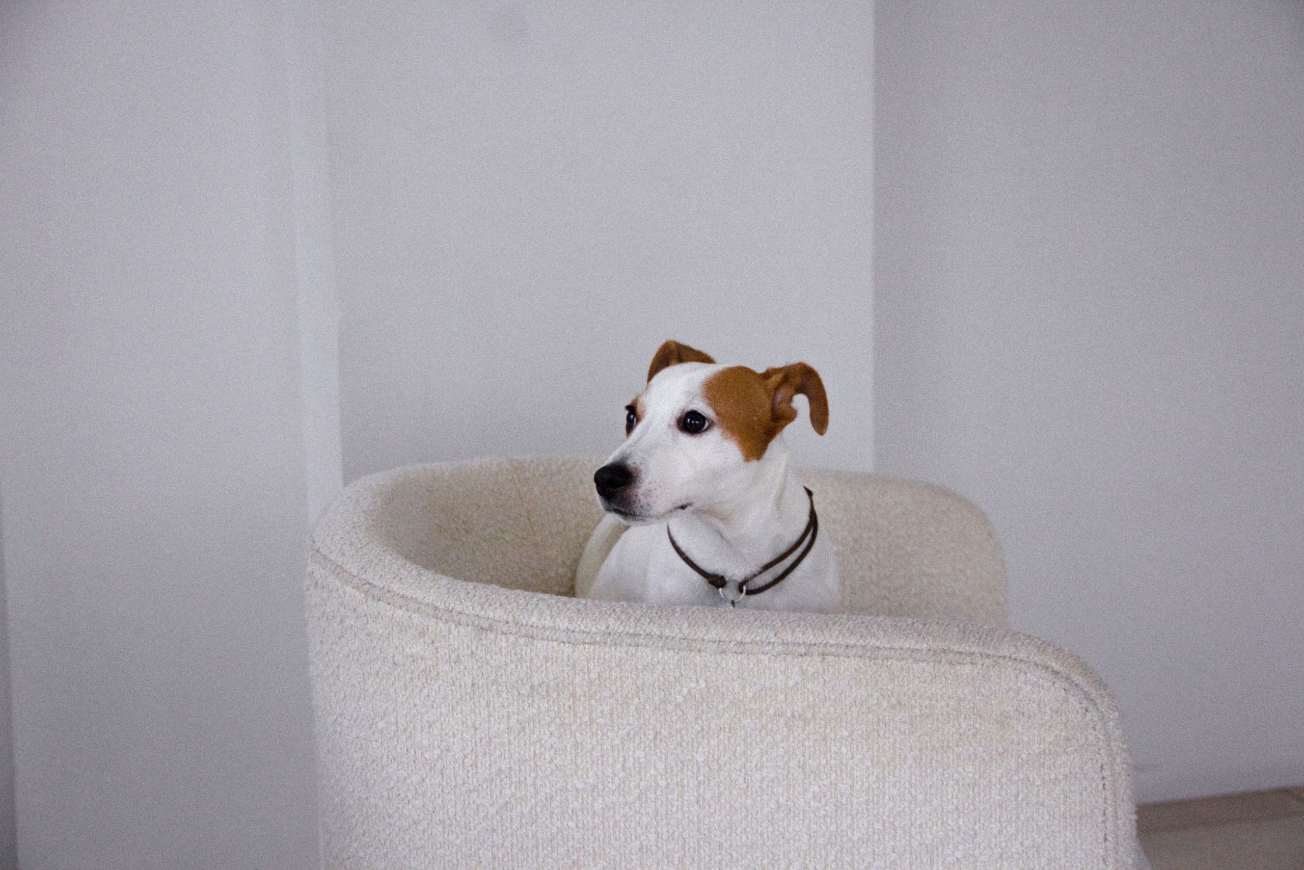 Валерия и Алексей. Фотограф в Санкт-Петербурге Смирнова Диана