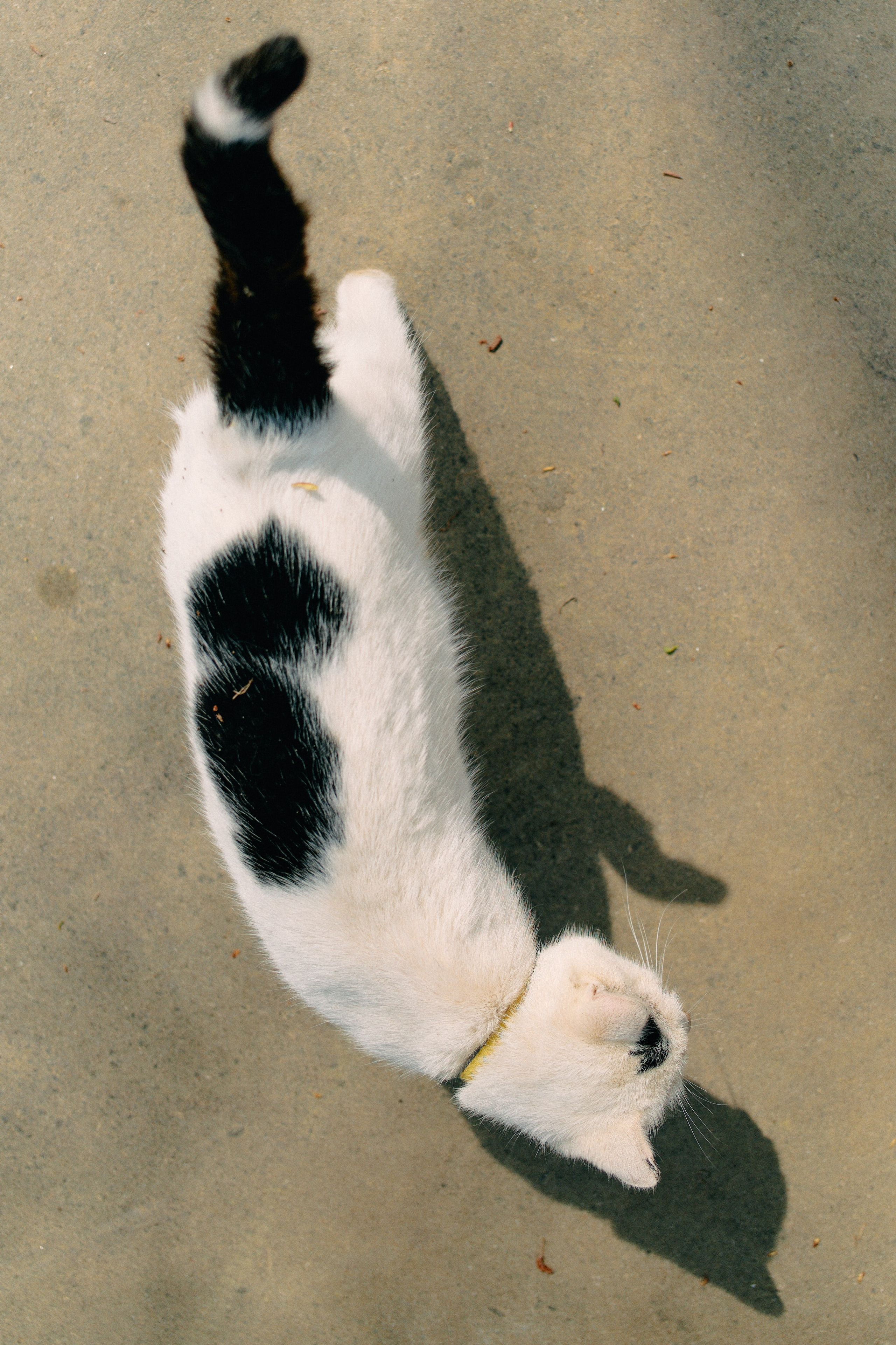Бутик-отель Поле летом. Профессиональный Фотограф во Владимире, в Москве и в Суздале — Полина Романычева