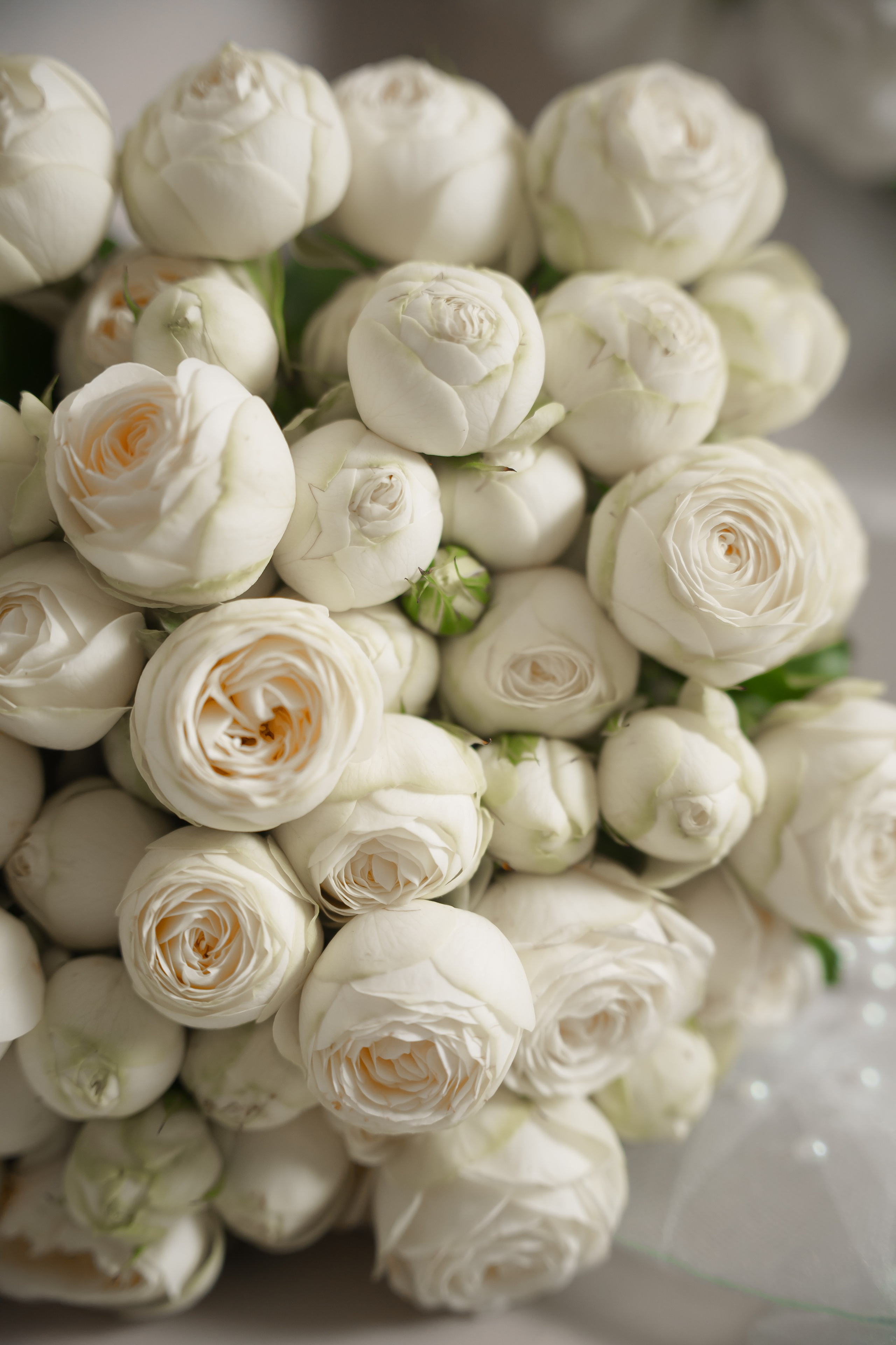 ФОТОГРАФ и ВИДЕОГРАФ