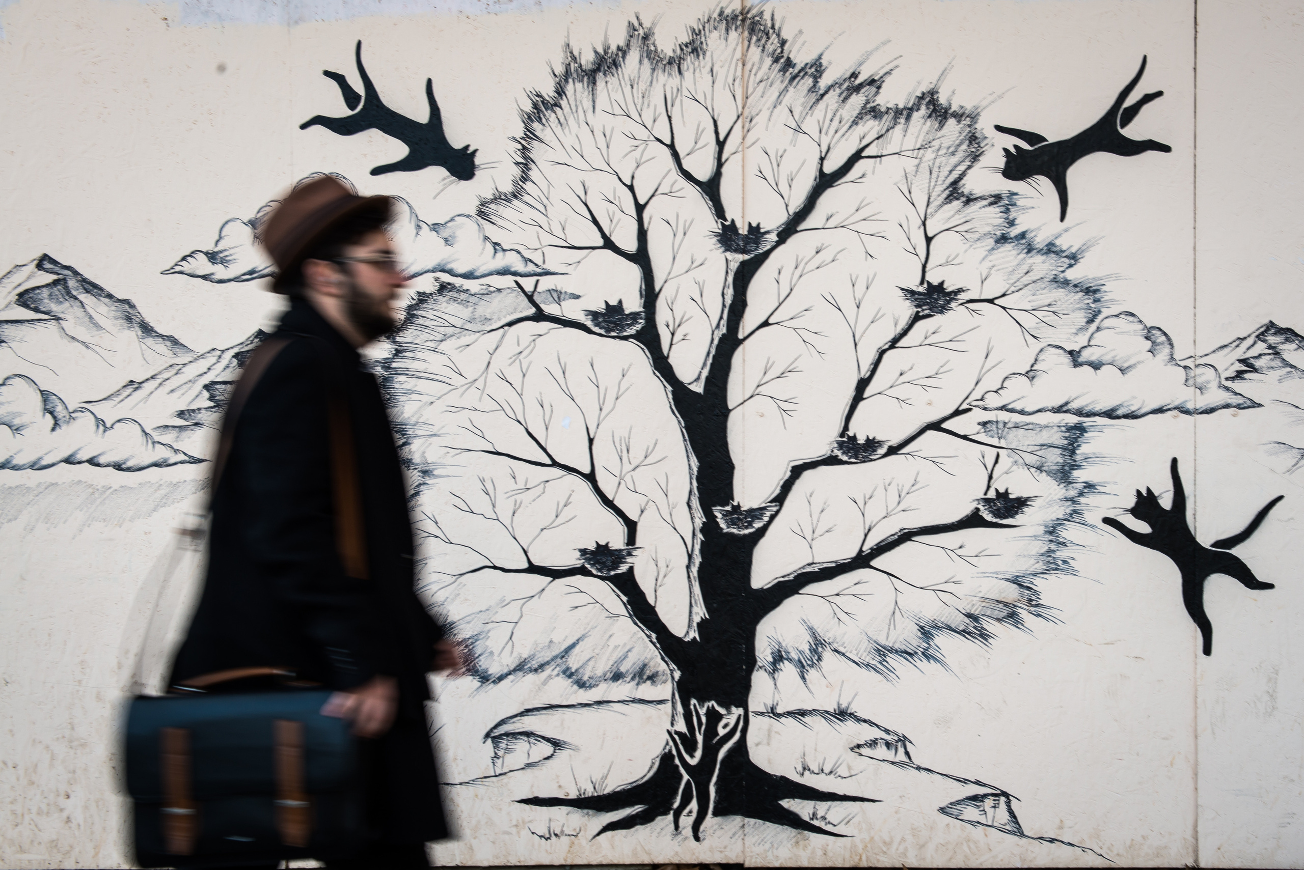 Dimitri Bakhtadze, Georgia-people. Dimitri Bakhtadze photographer