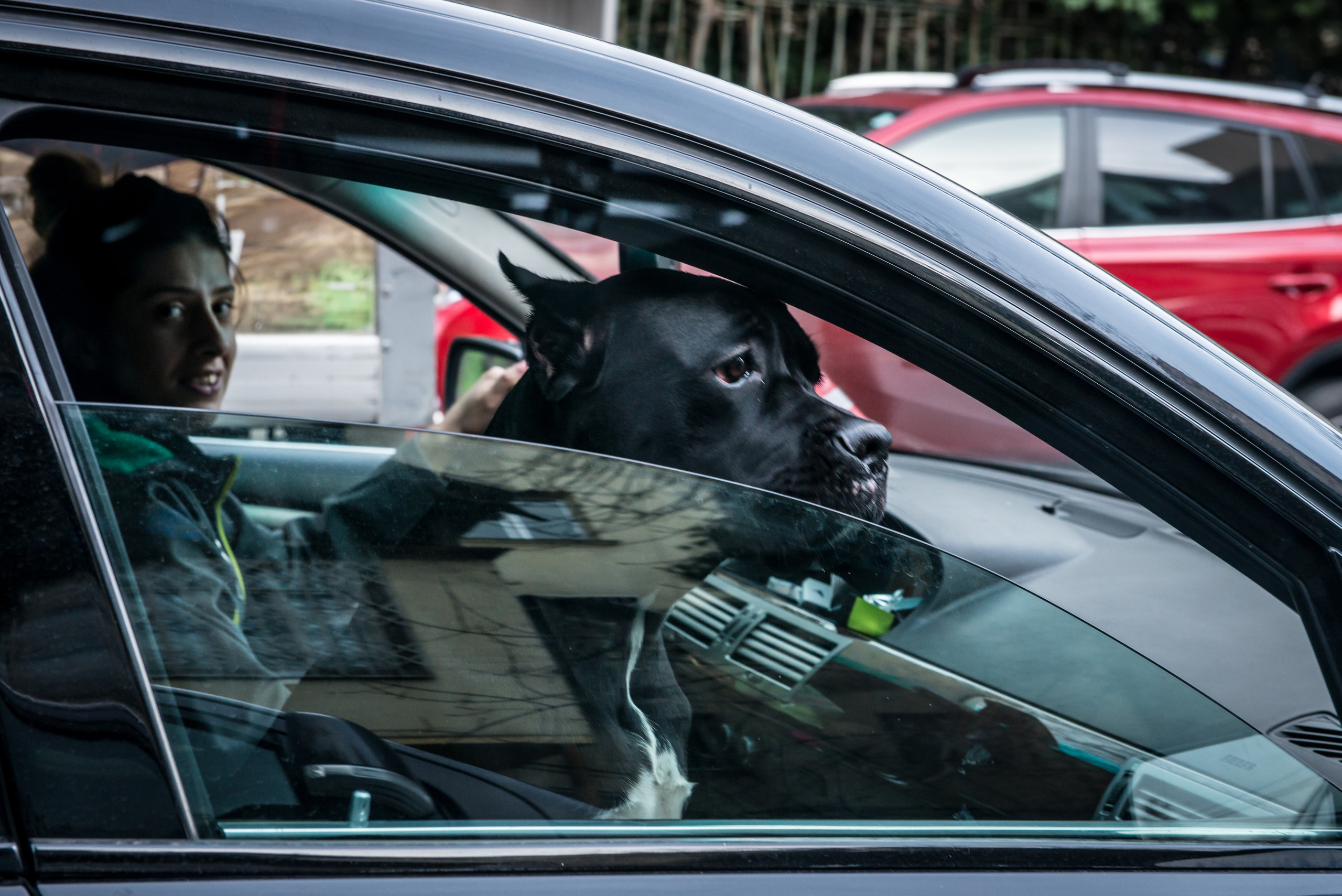 Dimitri Bakhtadze, Georgia-people. Dimitri Bakhtadze photographer