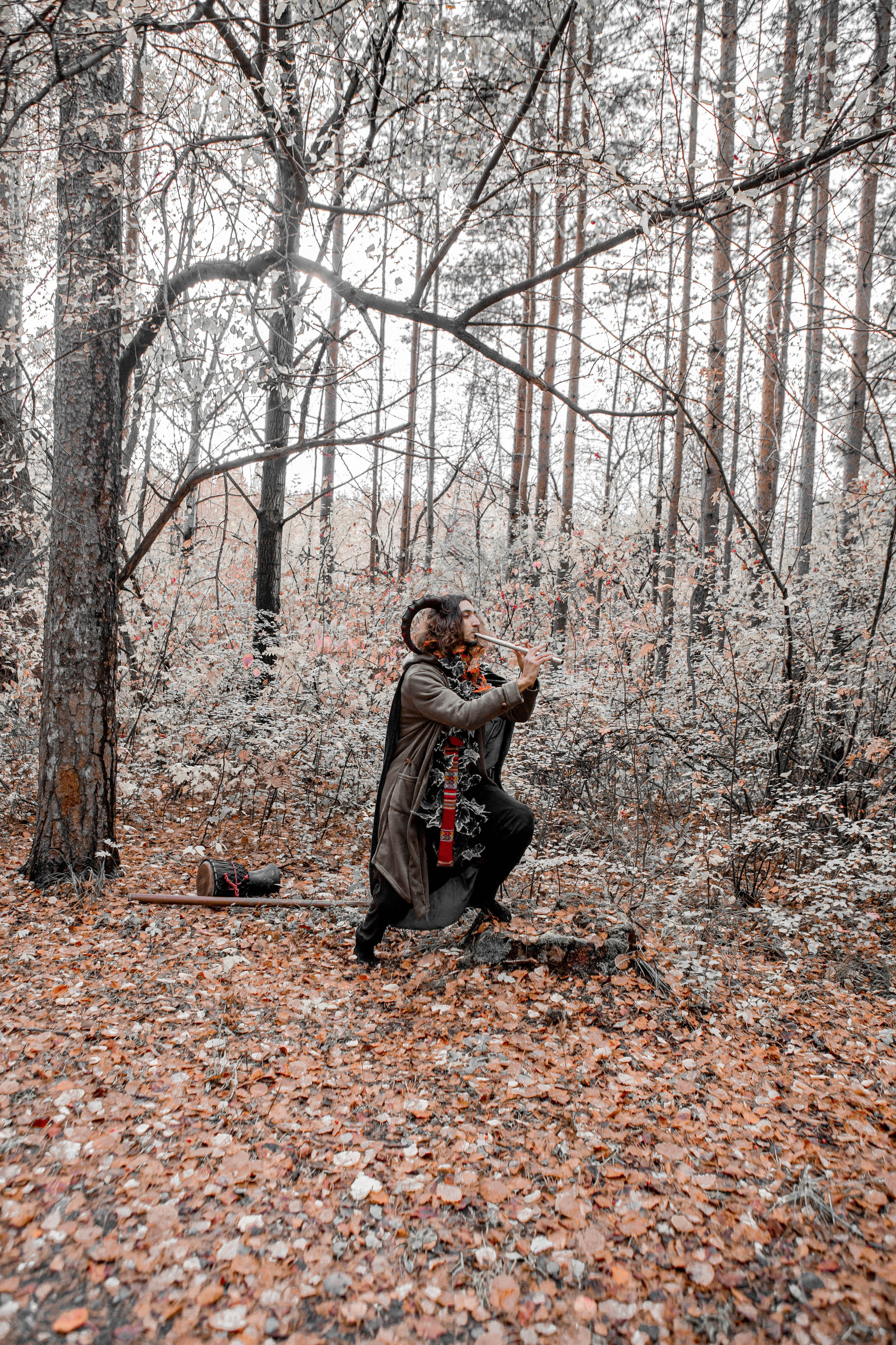 Волшебный лес. Фотограф Екатерина Голицына