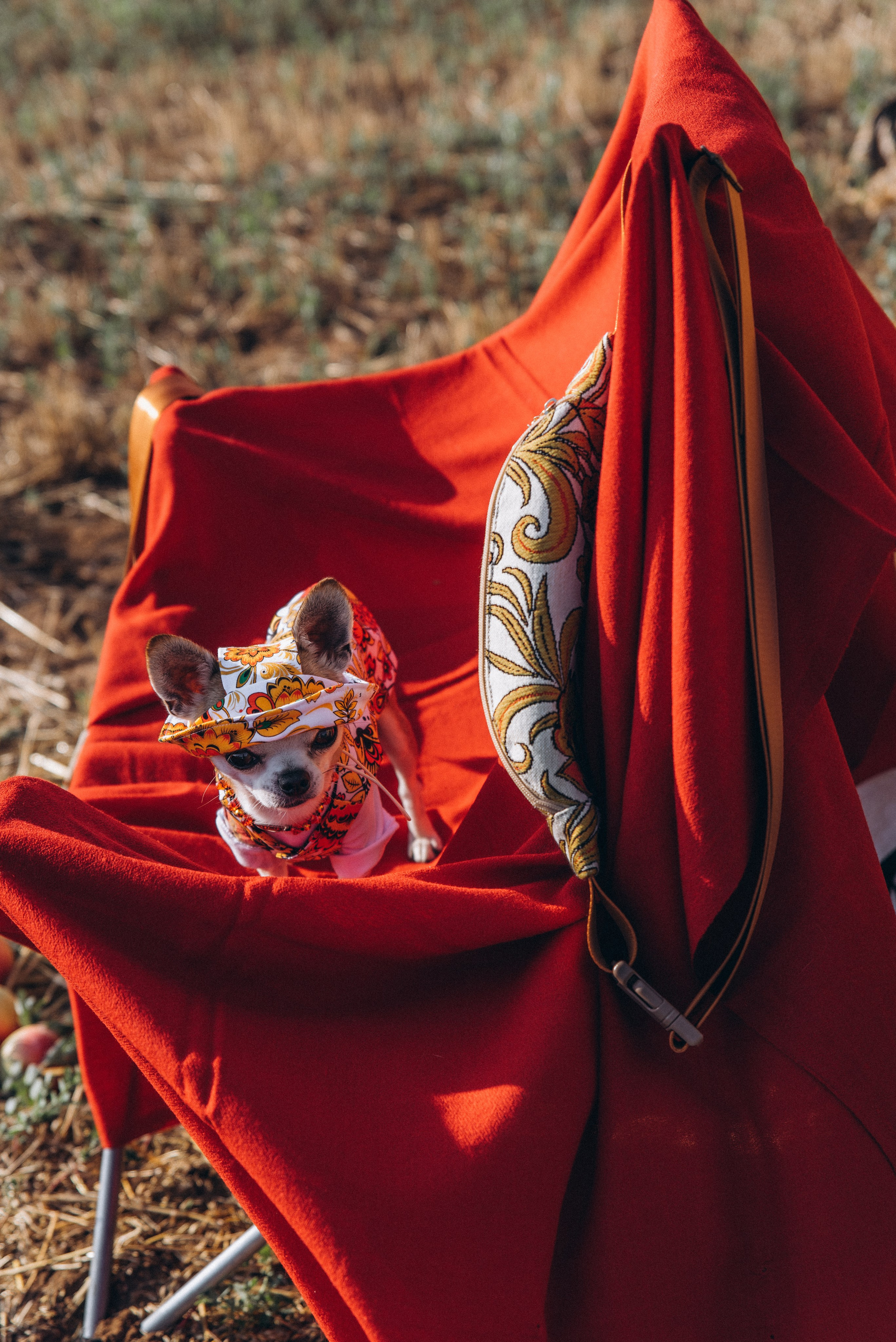 ЛЕНА. Ольга Козлова фотограф Волгоград olkiny-fotki.ru