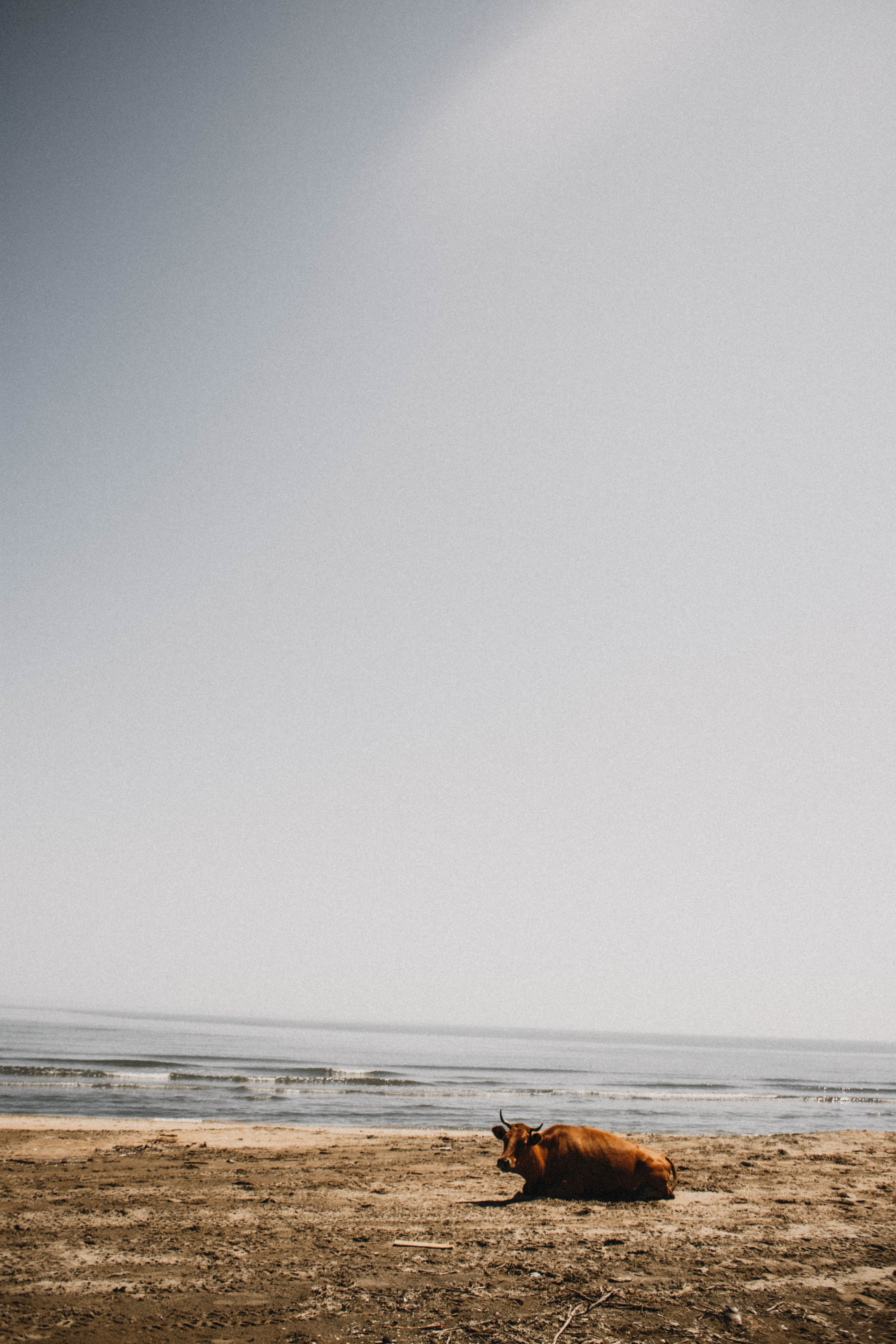 Дагестан. Чечня. 2024. Фотограф в Нижнем Новгороде