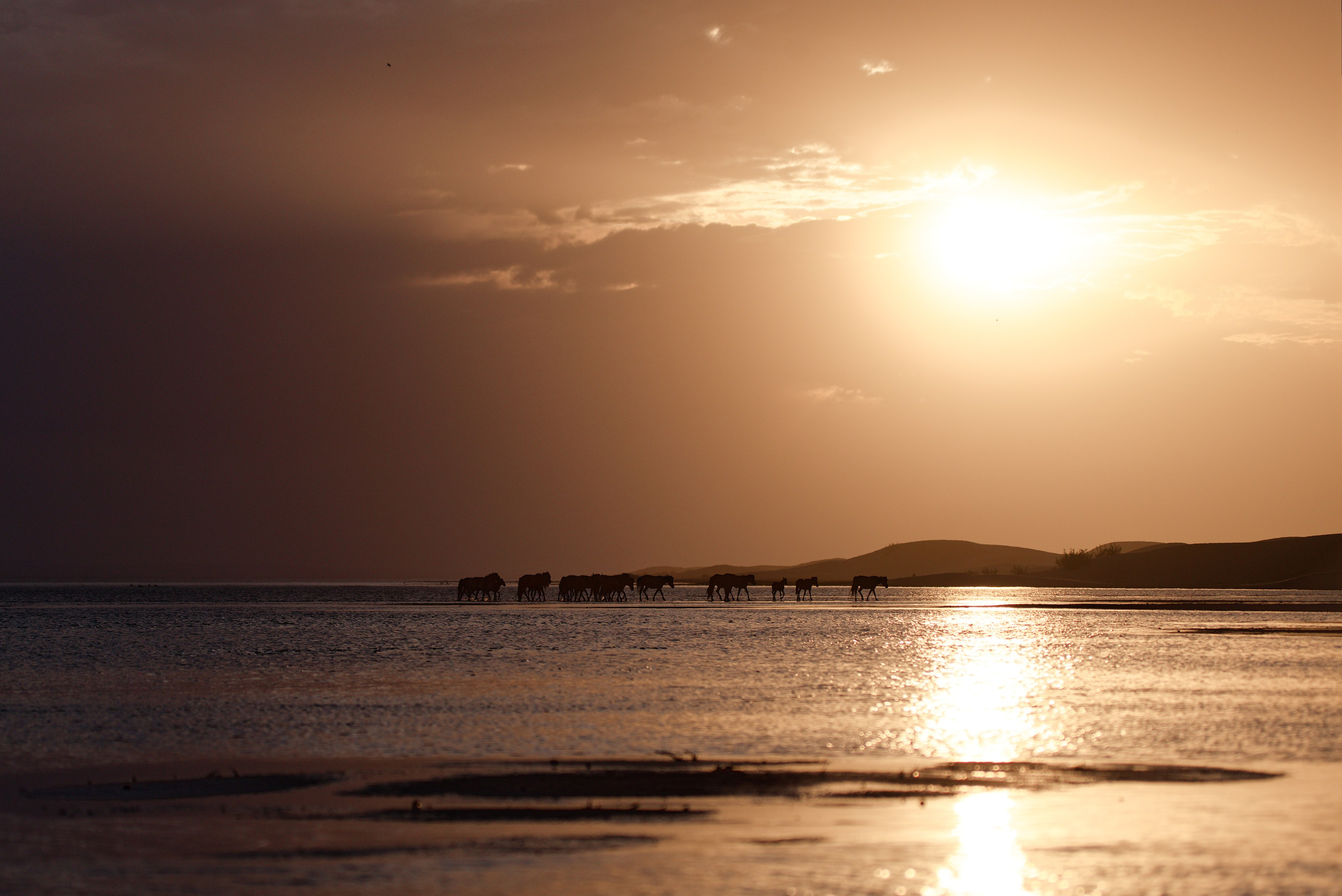 Экспедиция в Монголию (Гоби). Семоха Валерий. Фотограф