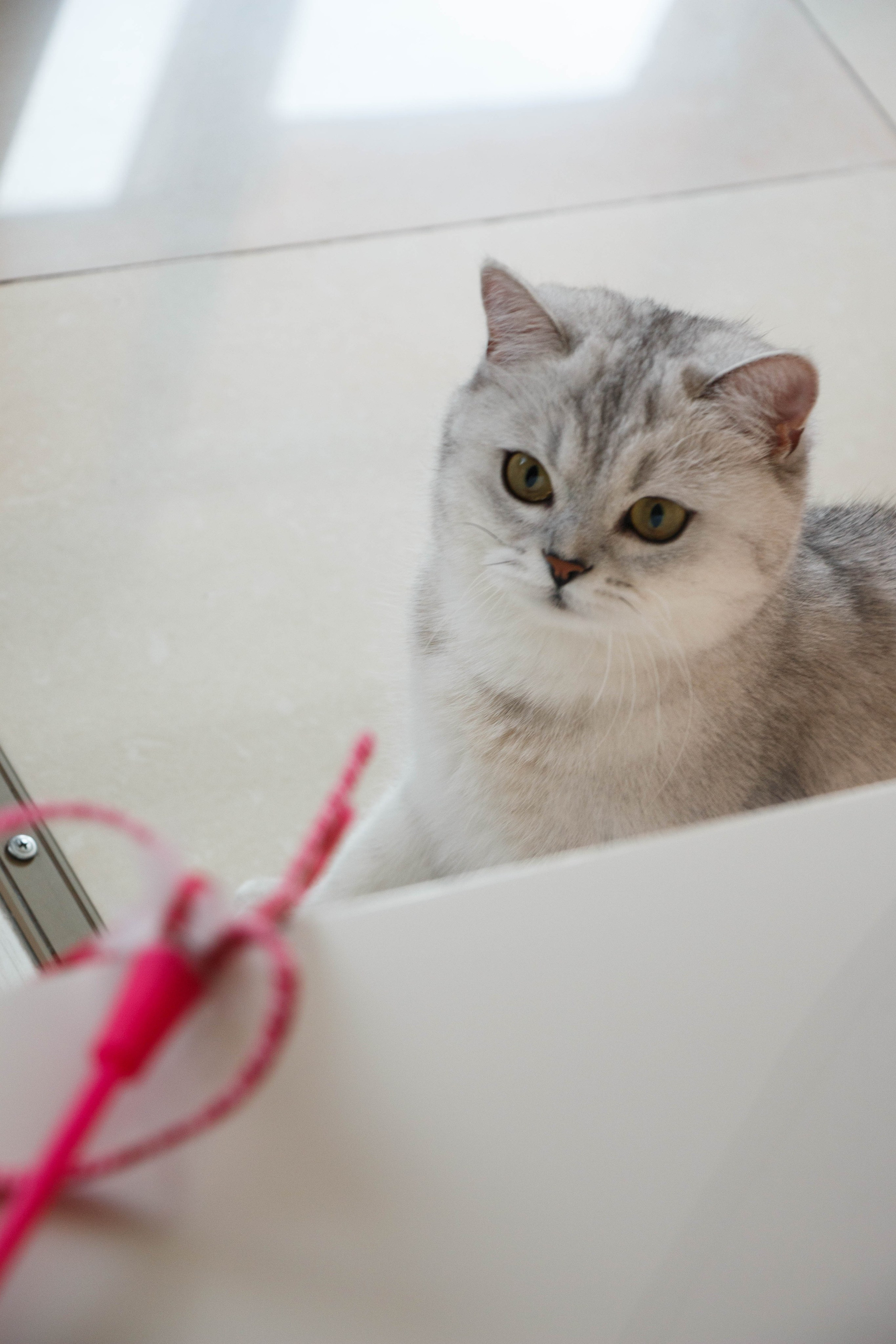 NASTYA & KITTI. Бережно сохраняю ваши чувства и истории на своих фотографиях