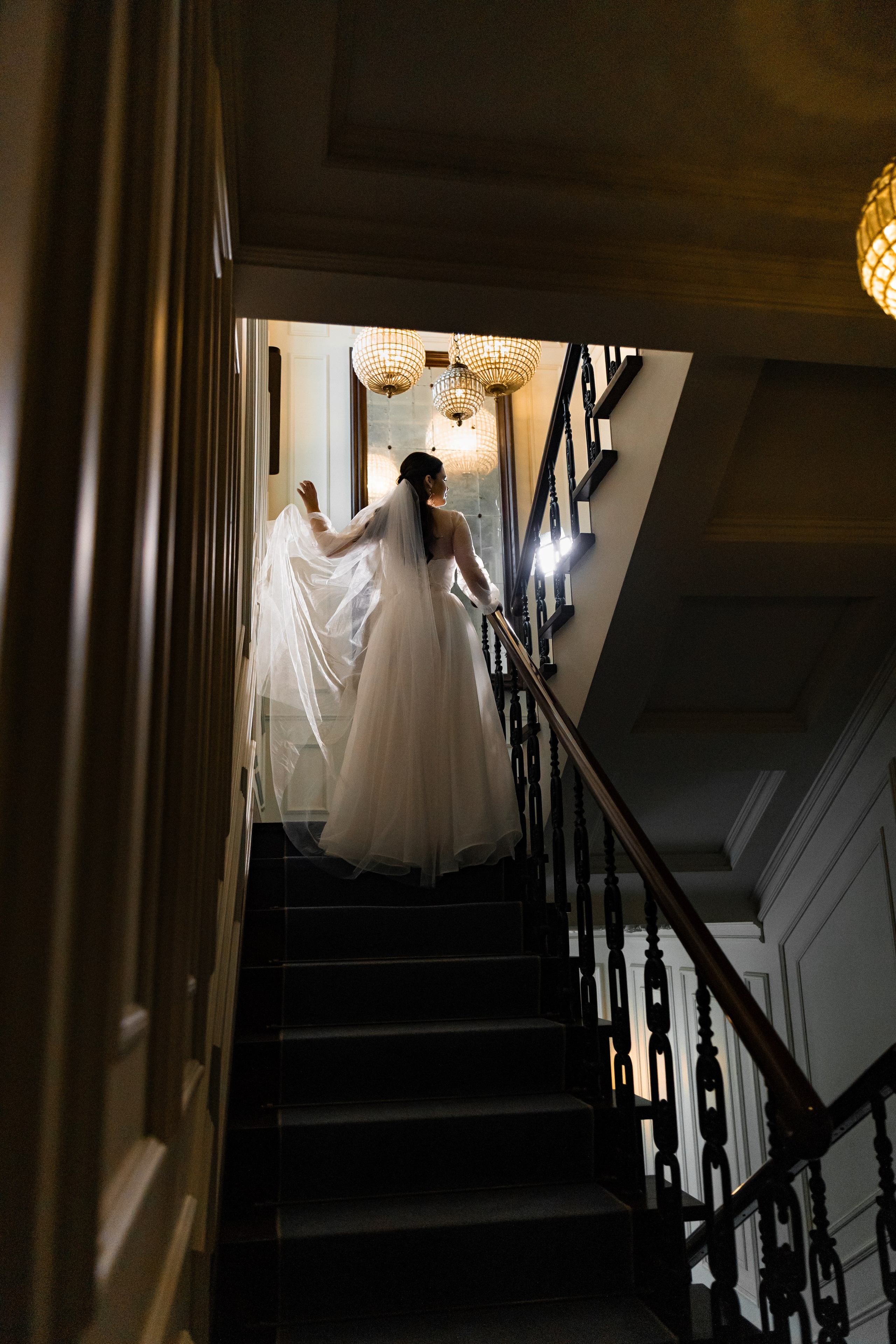 Парижский лазурный. Фотограф Белгород