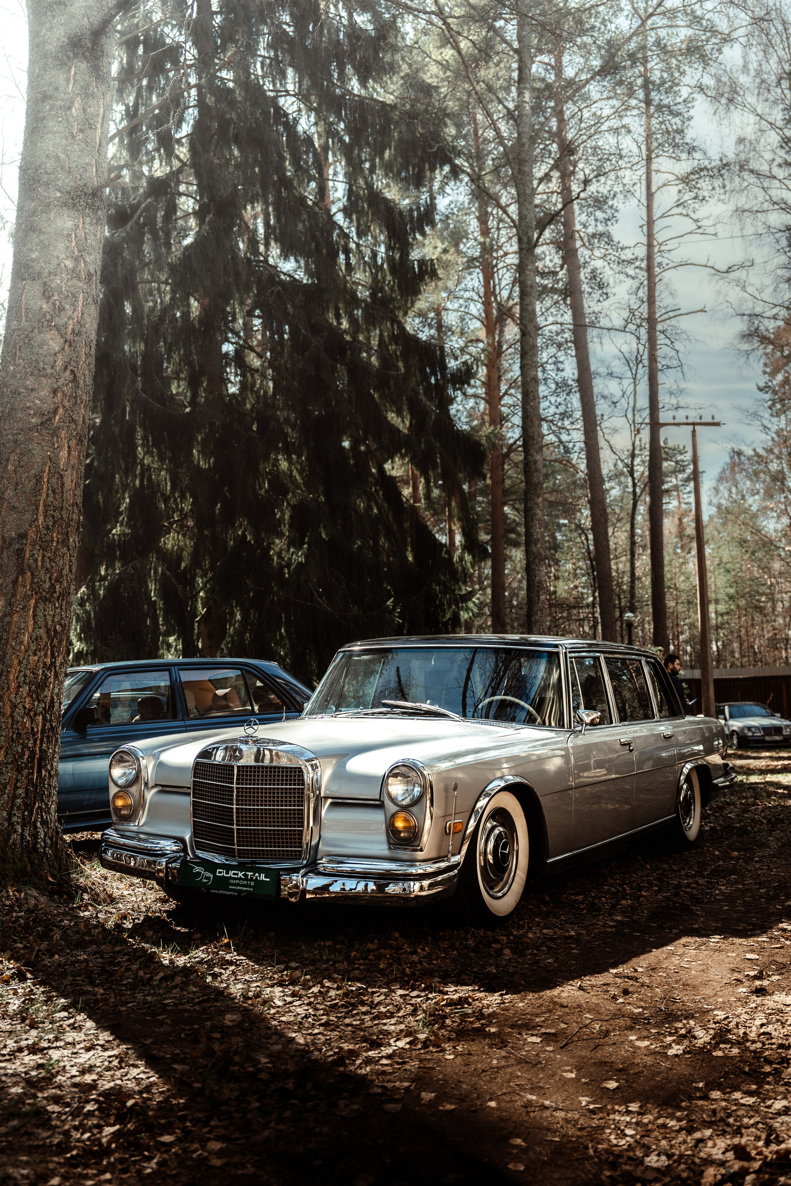 BENZ CLASSIC PICNIC. АВТОСПОРТИВНЫЙ ФОТОГРАФ