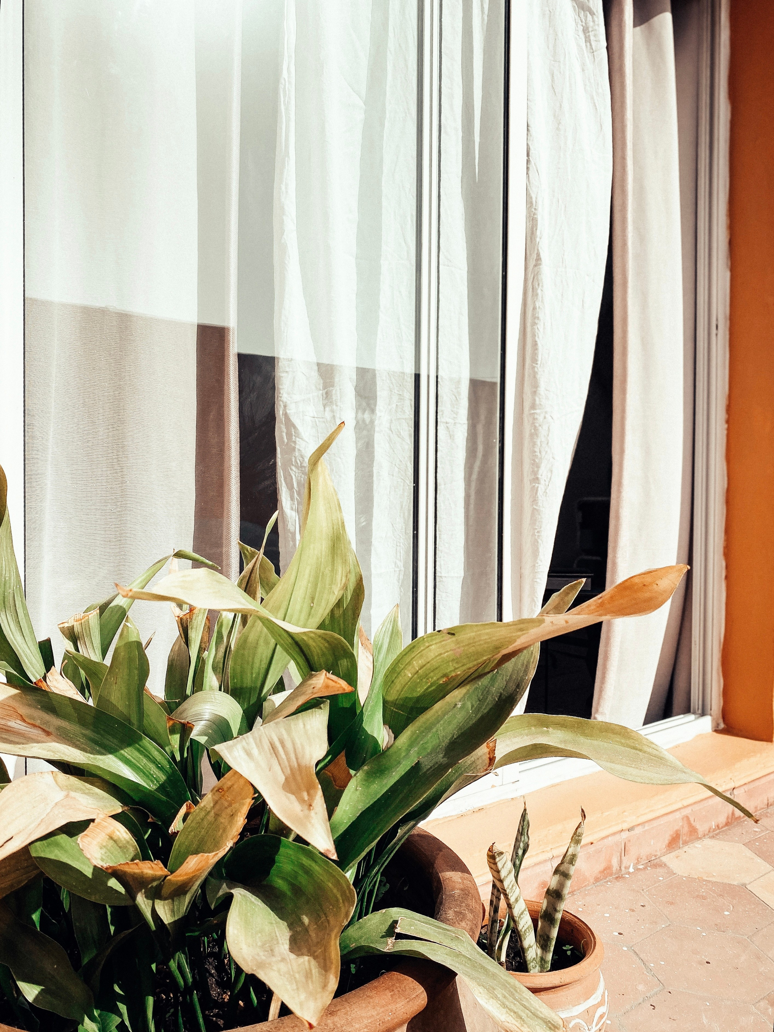 Studio. Olga Popova — Photographer in Morocco