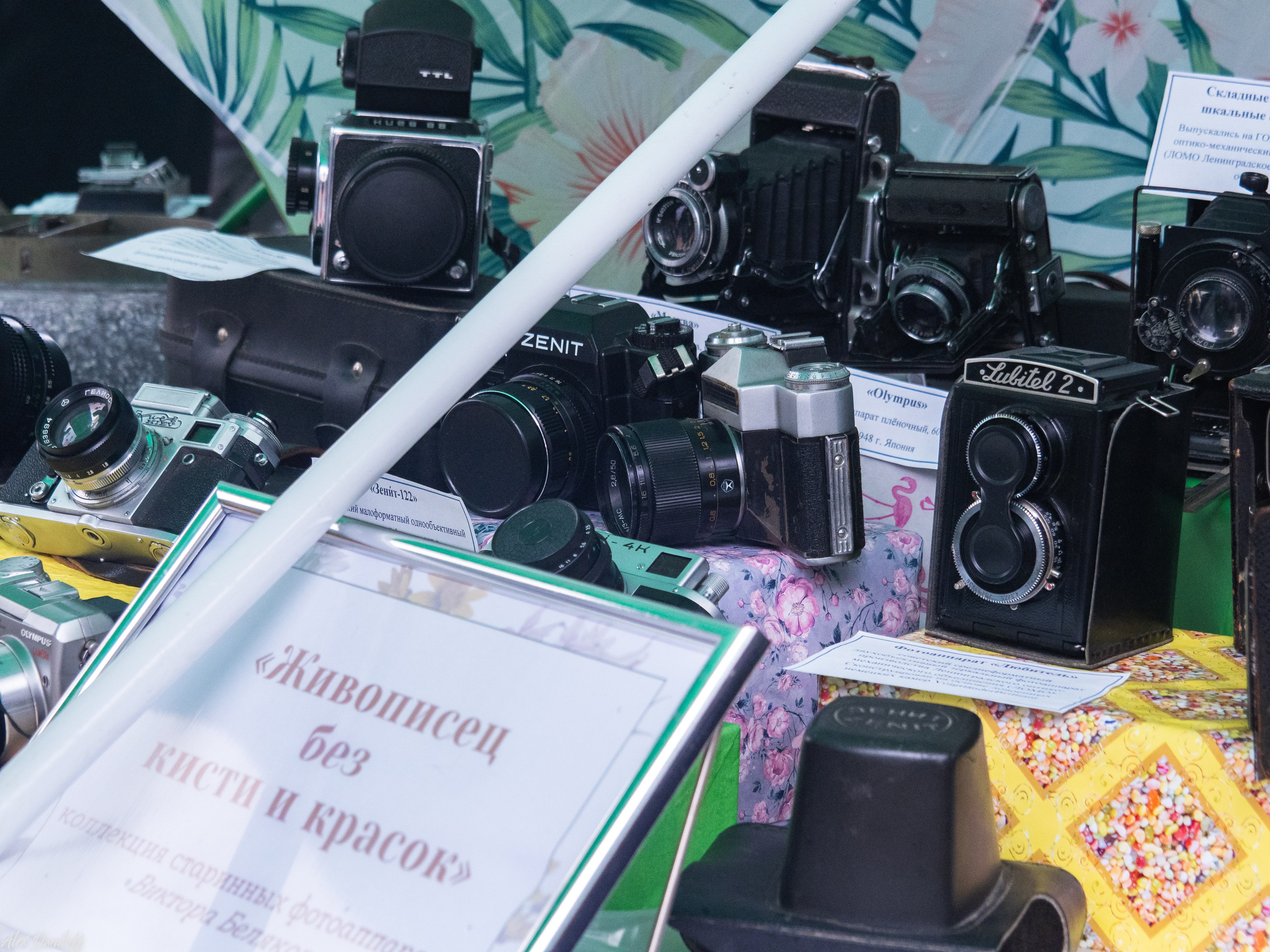 День города Муром 2025. Муром-Инфо. Новости культуры, образования, спорта в городе Муром