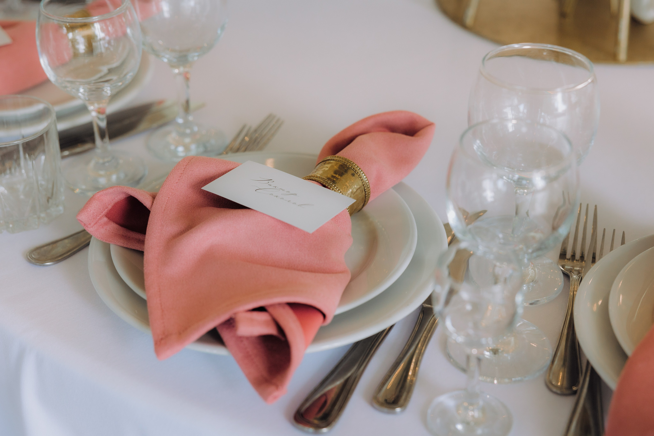 MARGARITA_VLADIMIR (ZAVAS EVENT). Фотограф Андрей Ширкалин Москва Московская обл, Коломна, Рязань