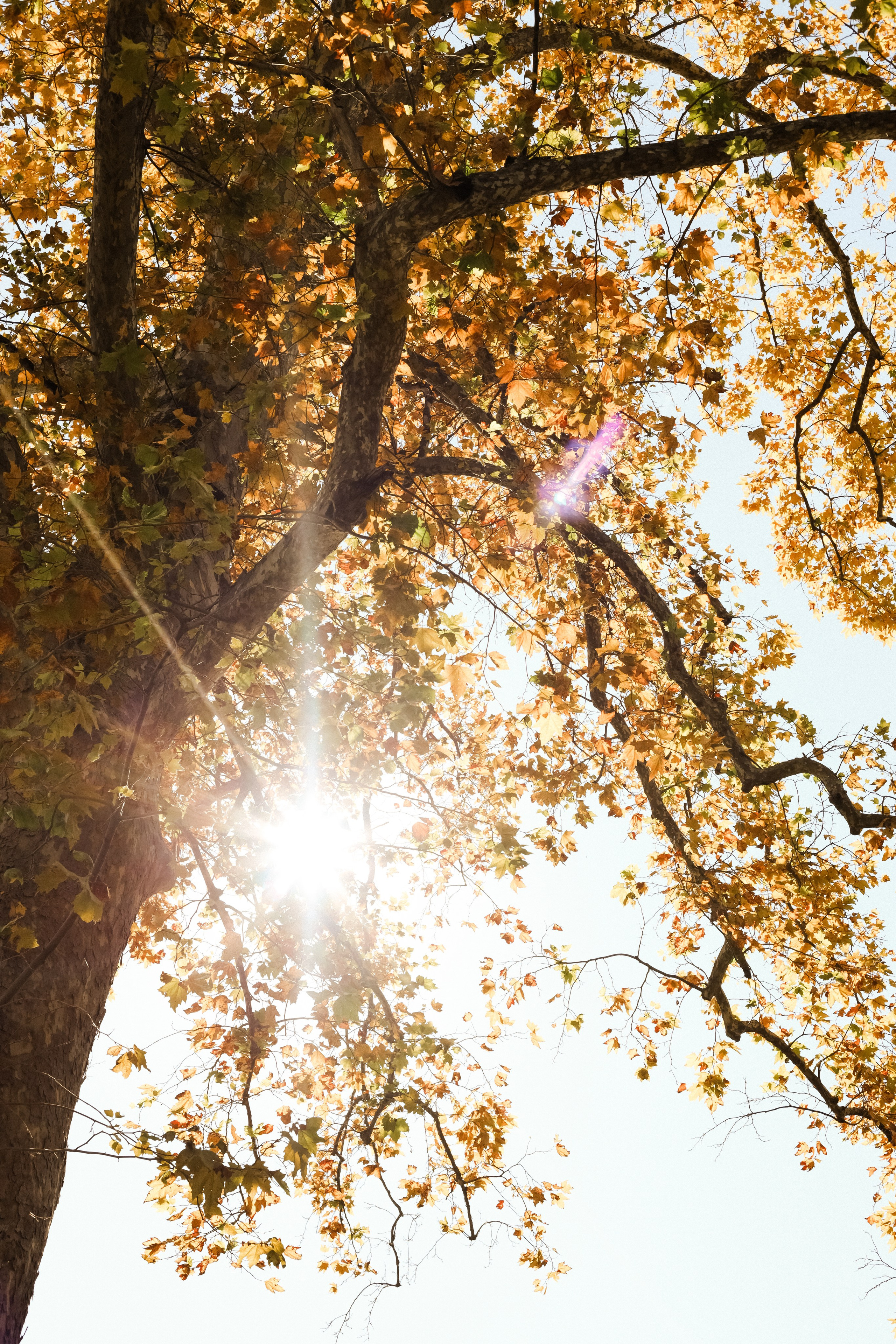 Абхазия 2023. Свадебный и семейный фотограф Анна Печенкина