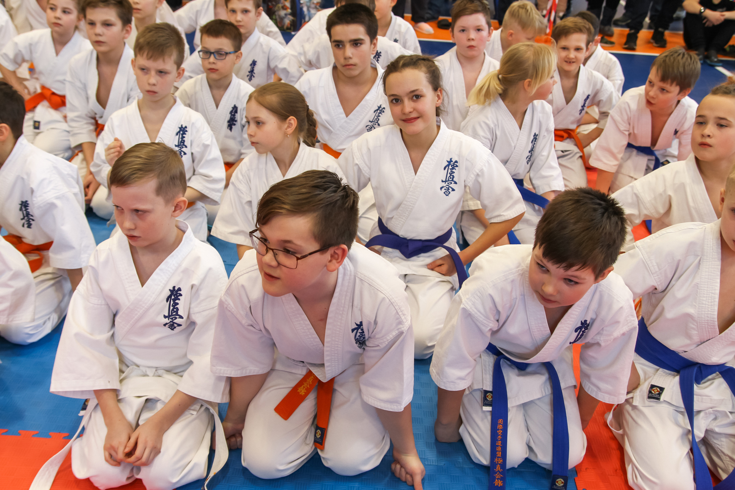 Соревнования по киокушинкай. Фотограф в Москве Анастасия Курлович