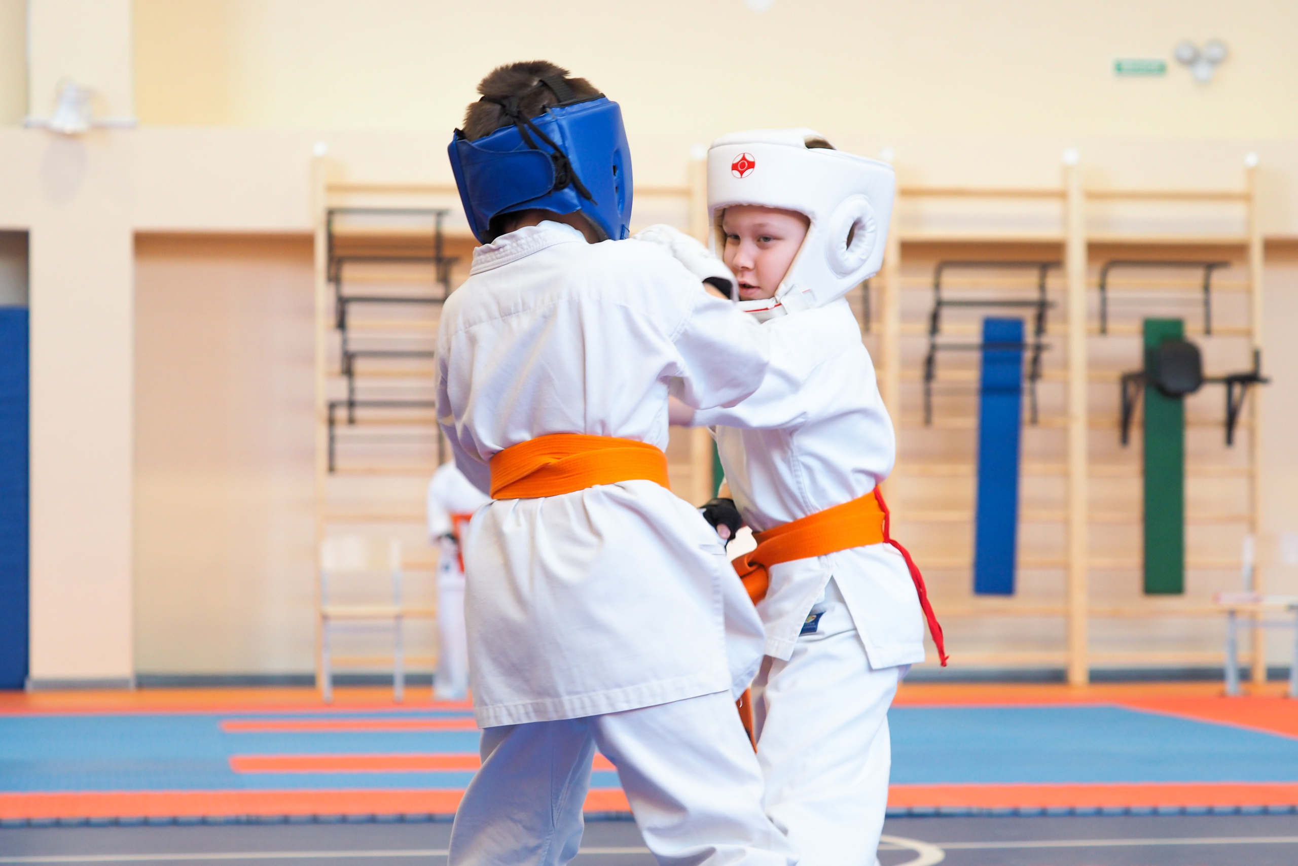 Соревнования по киокушинкай. Фотограф в Москве Анастасия Курлович